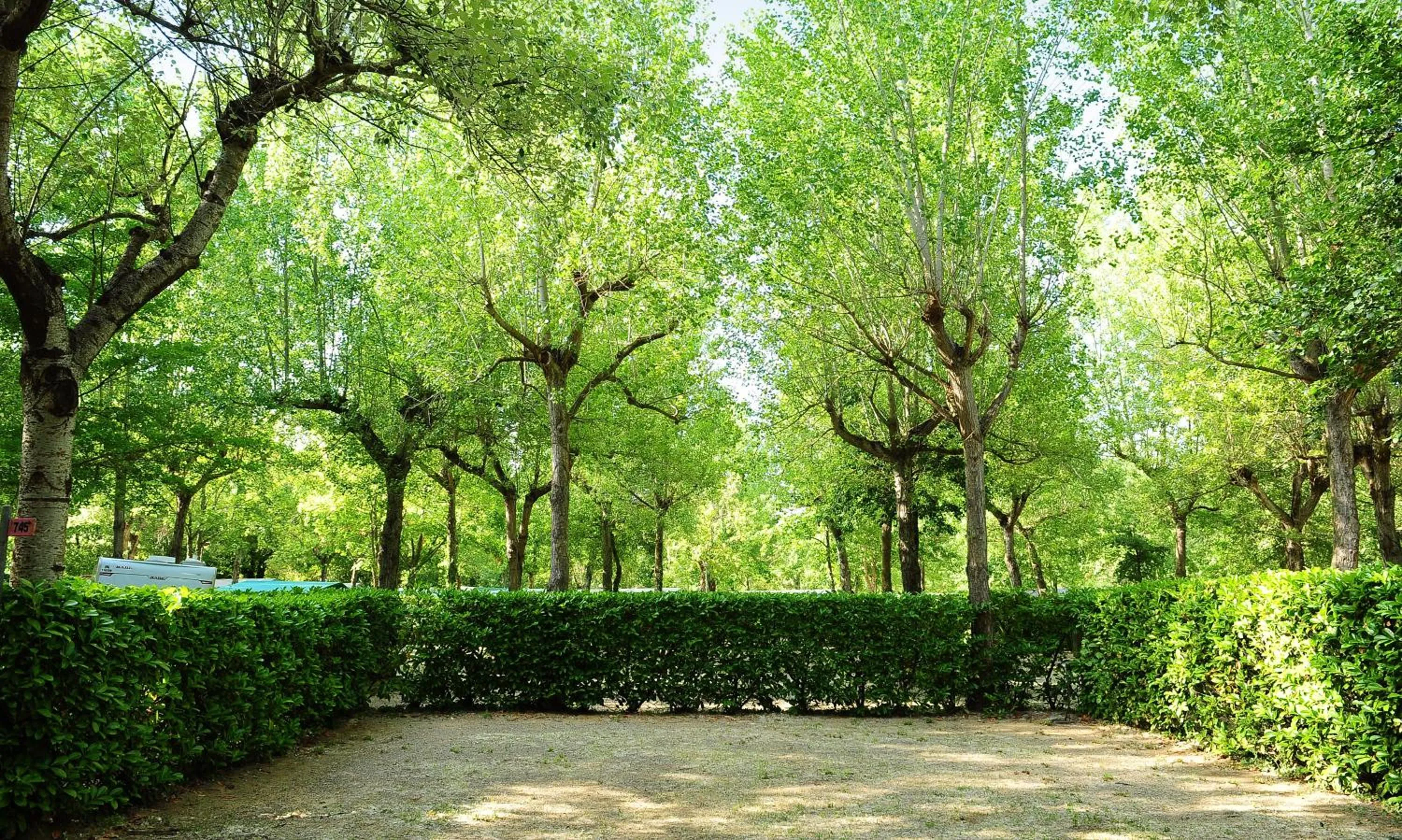 Photo of the whole room in Parco delle Piscine