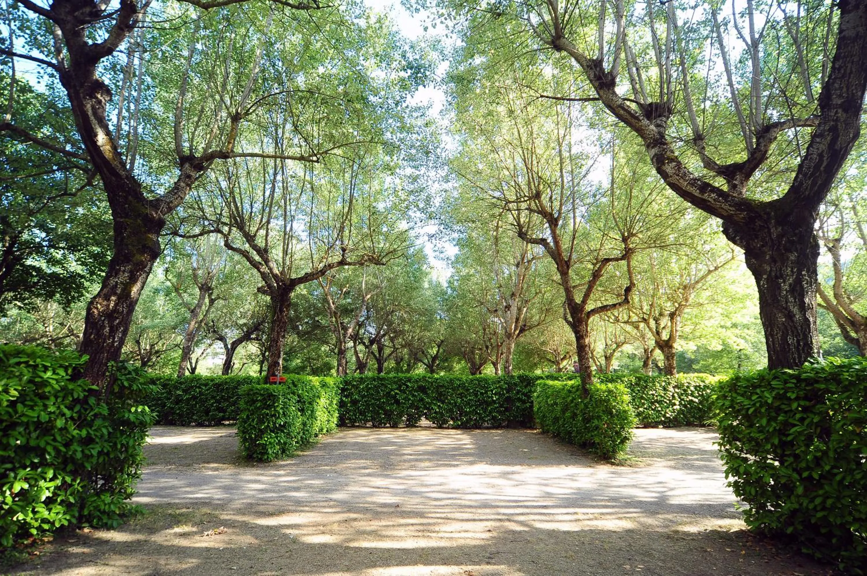 Photo of the whole room in Parco delle Piscine