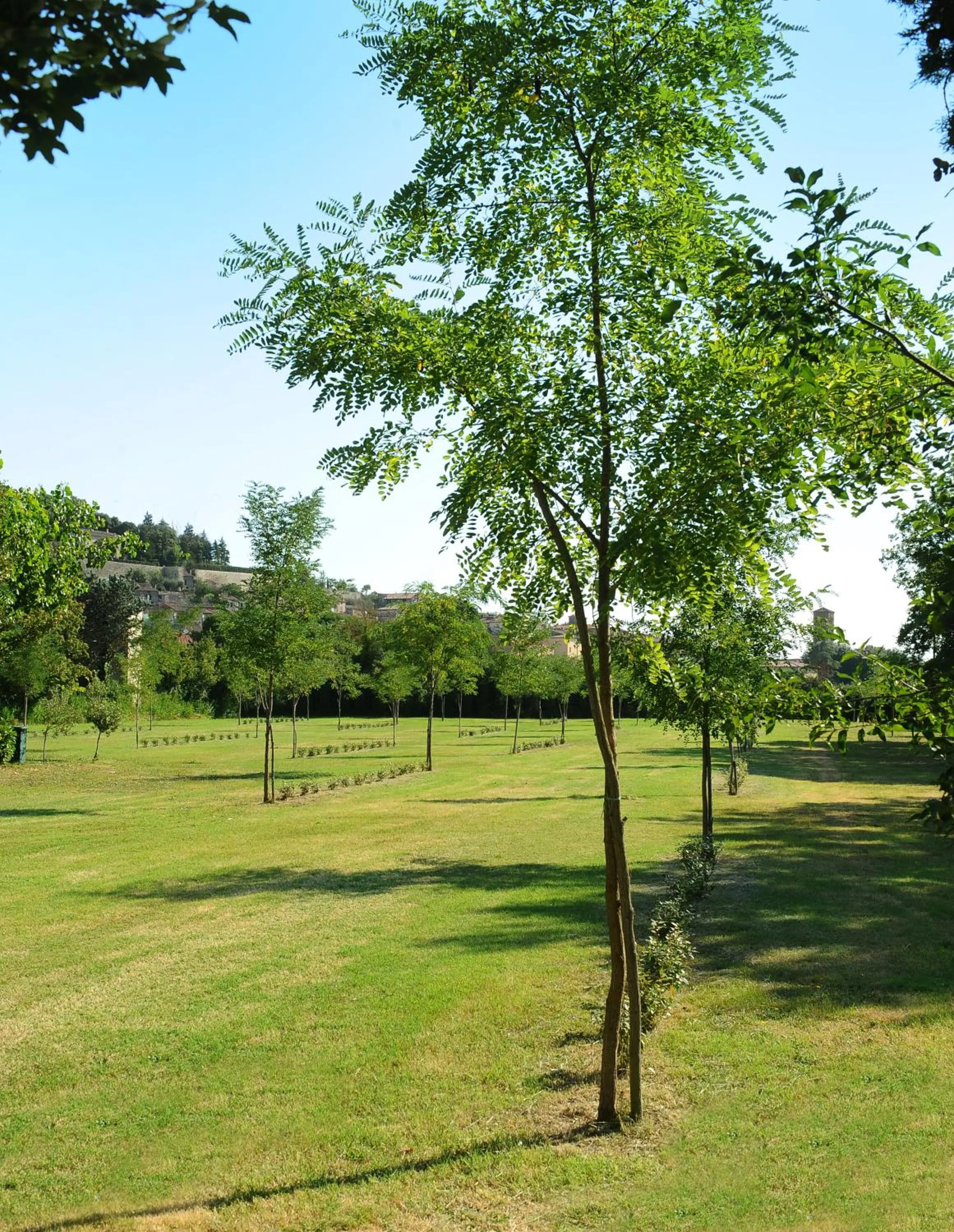 Garden in Parco delle Piscine