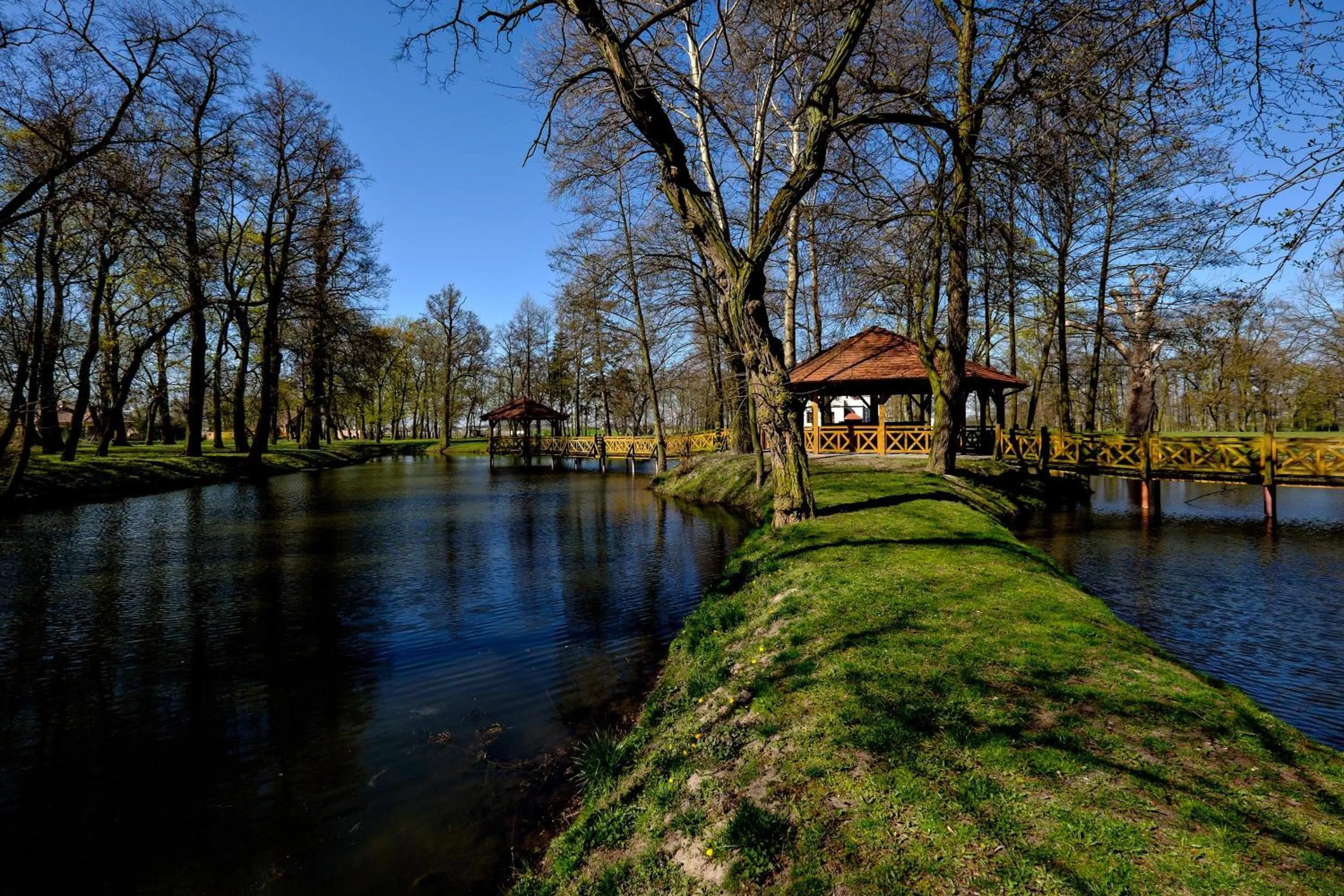 Lake view in Dwór Stary Chotów