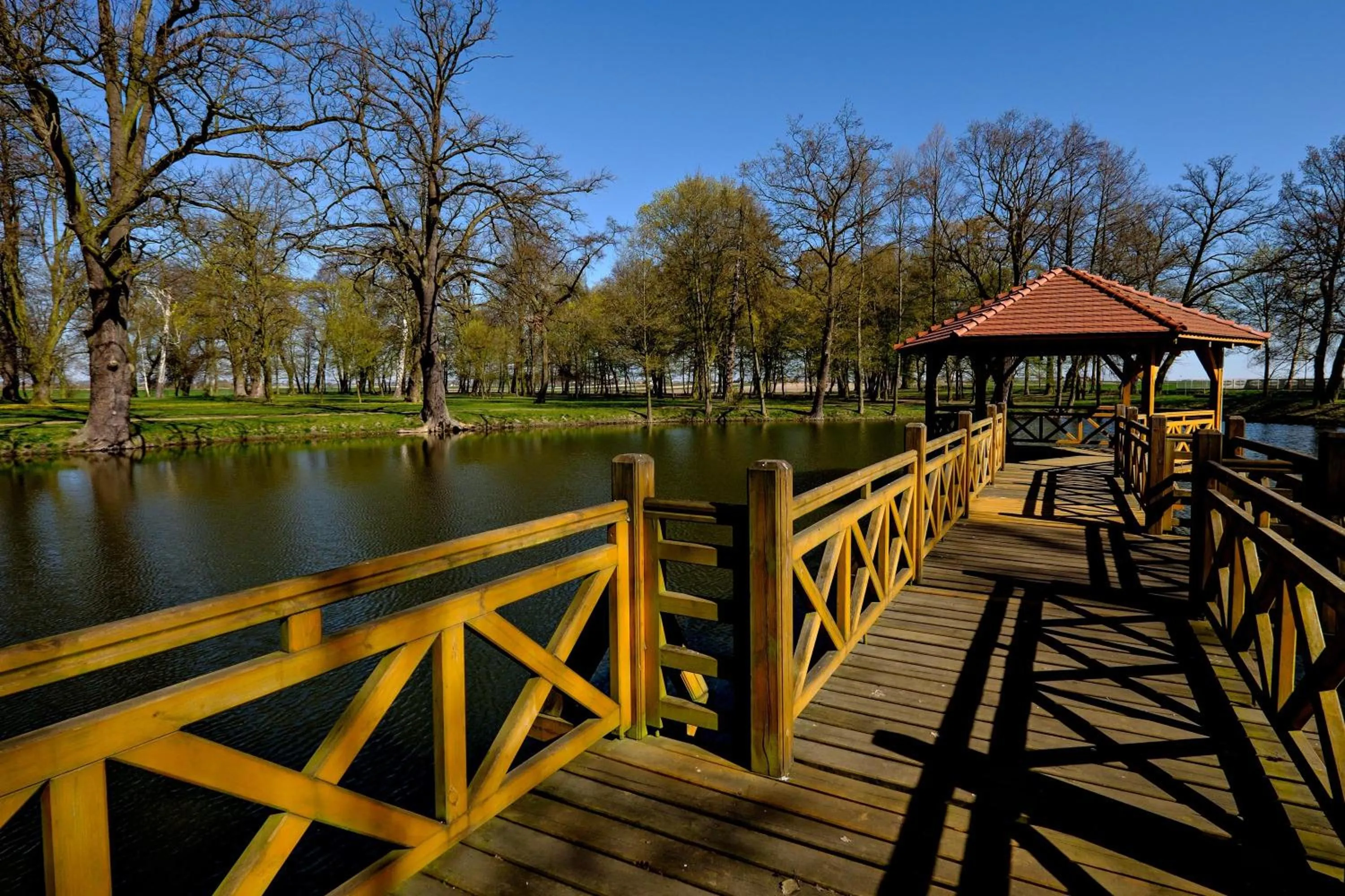 Natural landscape in Dwór Stary Chotów