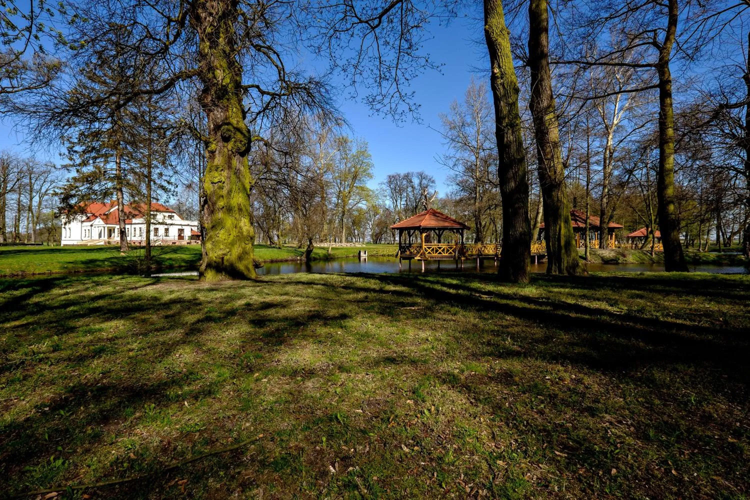 Natural landscape in Dwór Stary Chotów