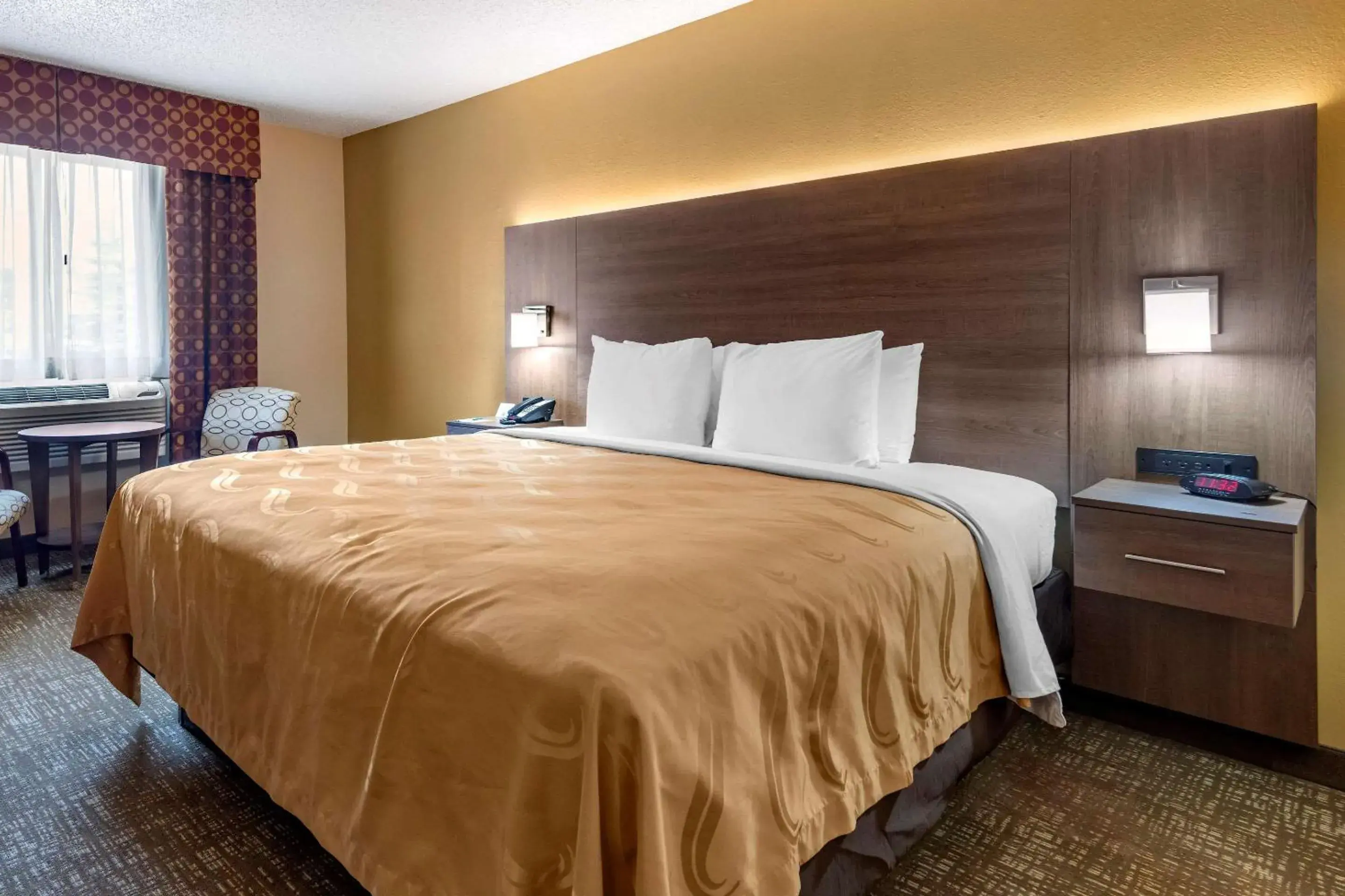 Photo of the whole room, Bed in Quality Inn Photo of the whole room, Bed in Quality Inn