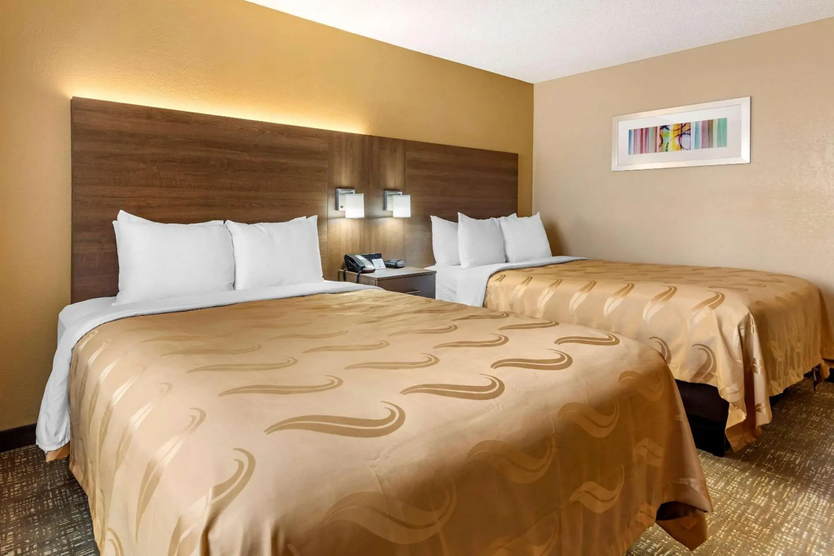 Photo of the whole room, Bed in Quality Inn Photo of the whole room, Bed in Quality Inn