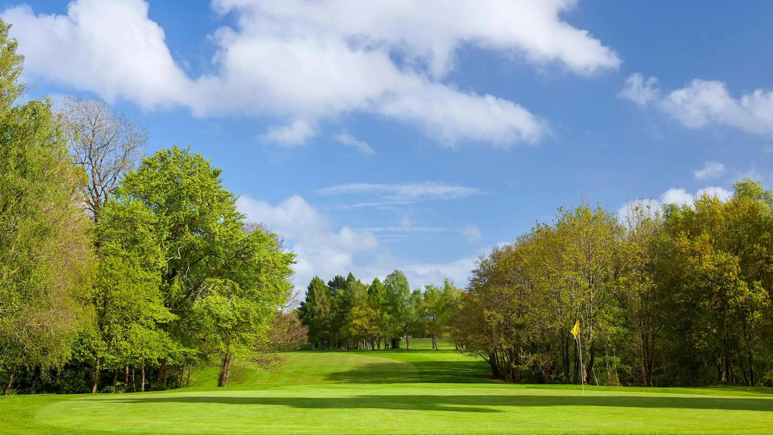 Golfcourse in Meon Valley Hotel, Spa & Golf