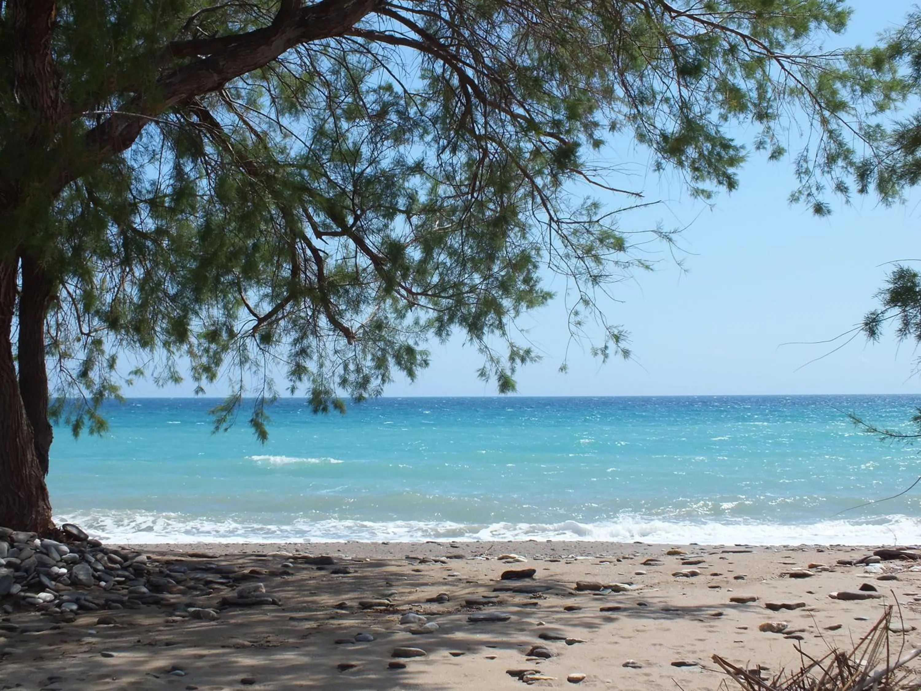 Beach in Hotel Sofia