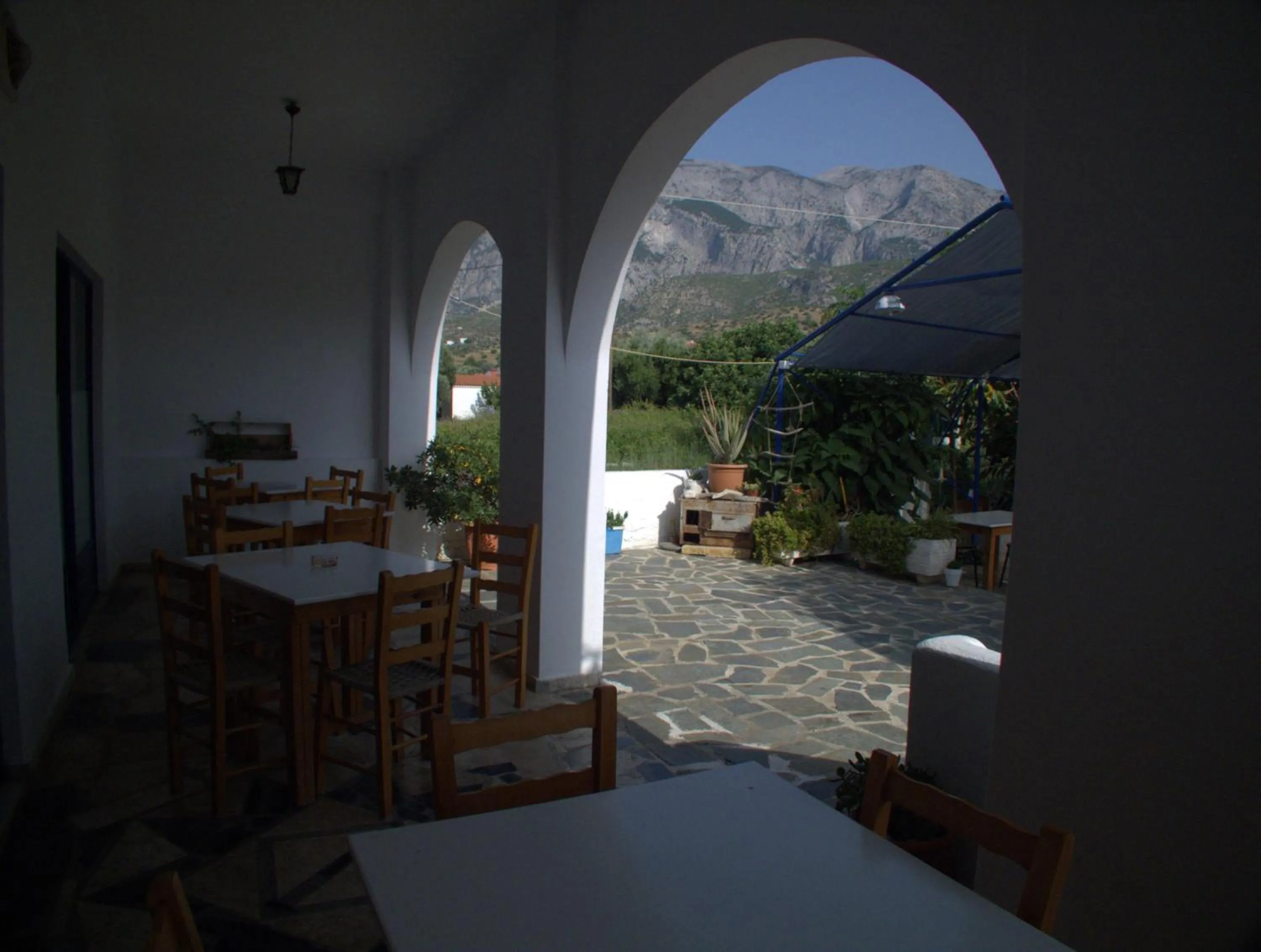 Garden view in Hotel Sofia