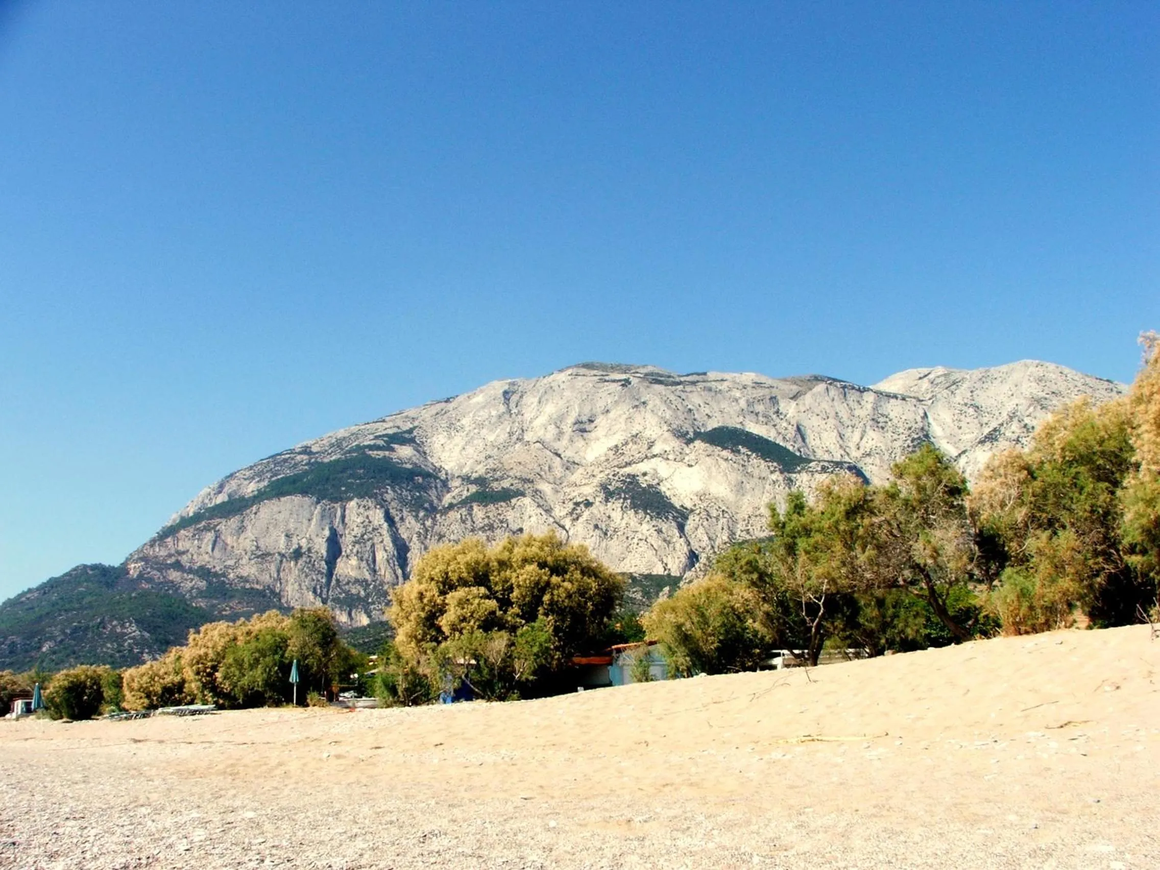 Beach in Hotel Sofia
