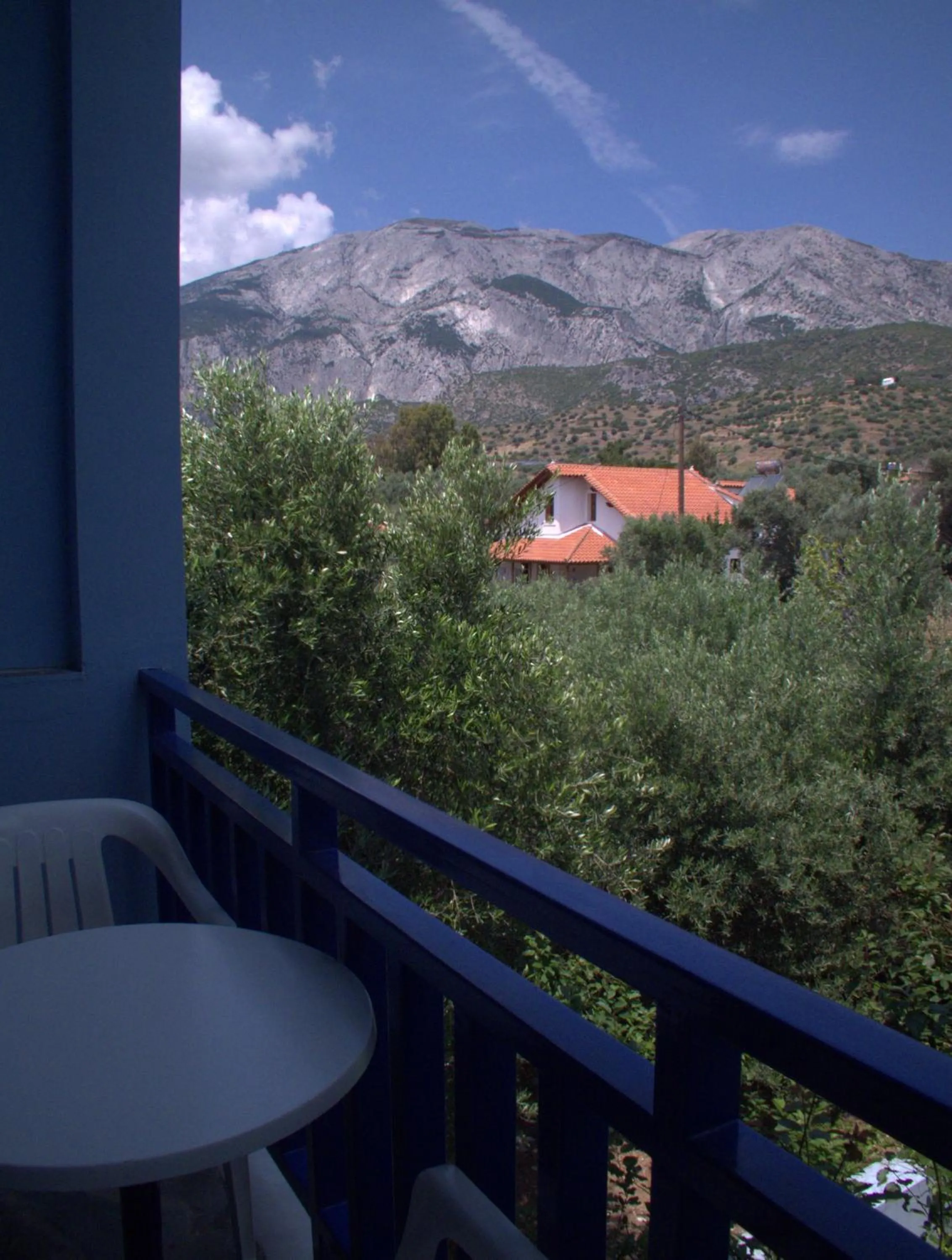Garden view in Hotel Sofia