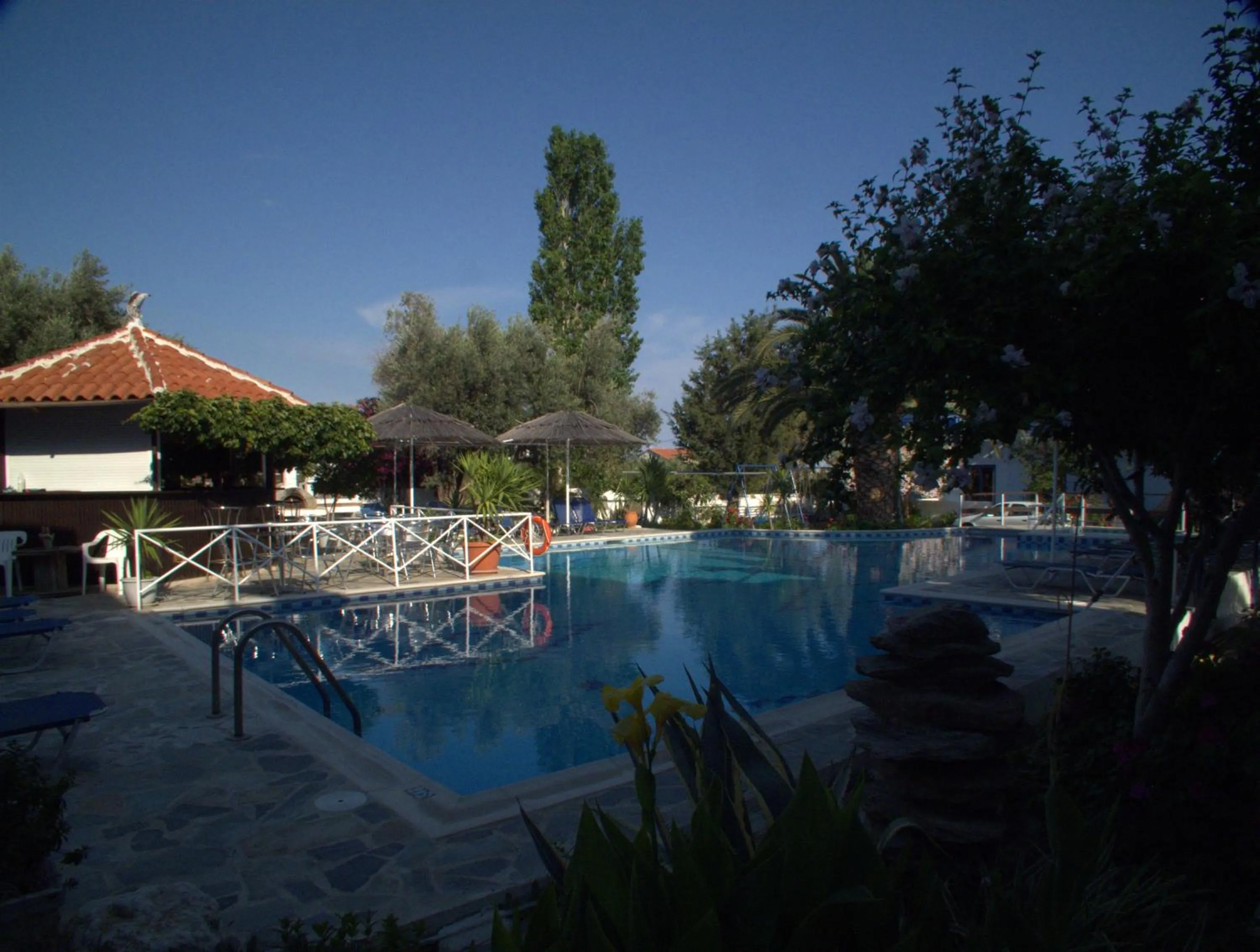 Garden in Hotel Sofia