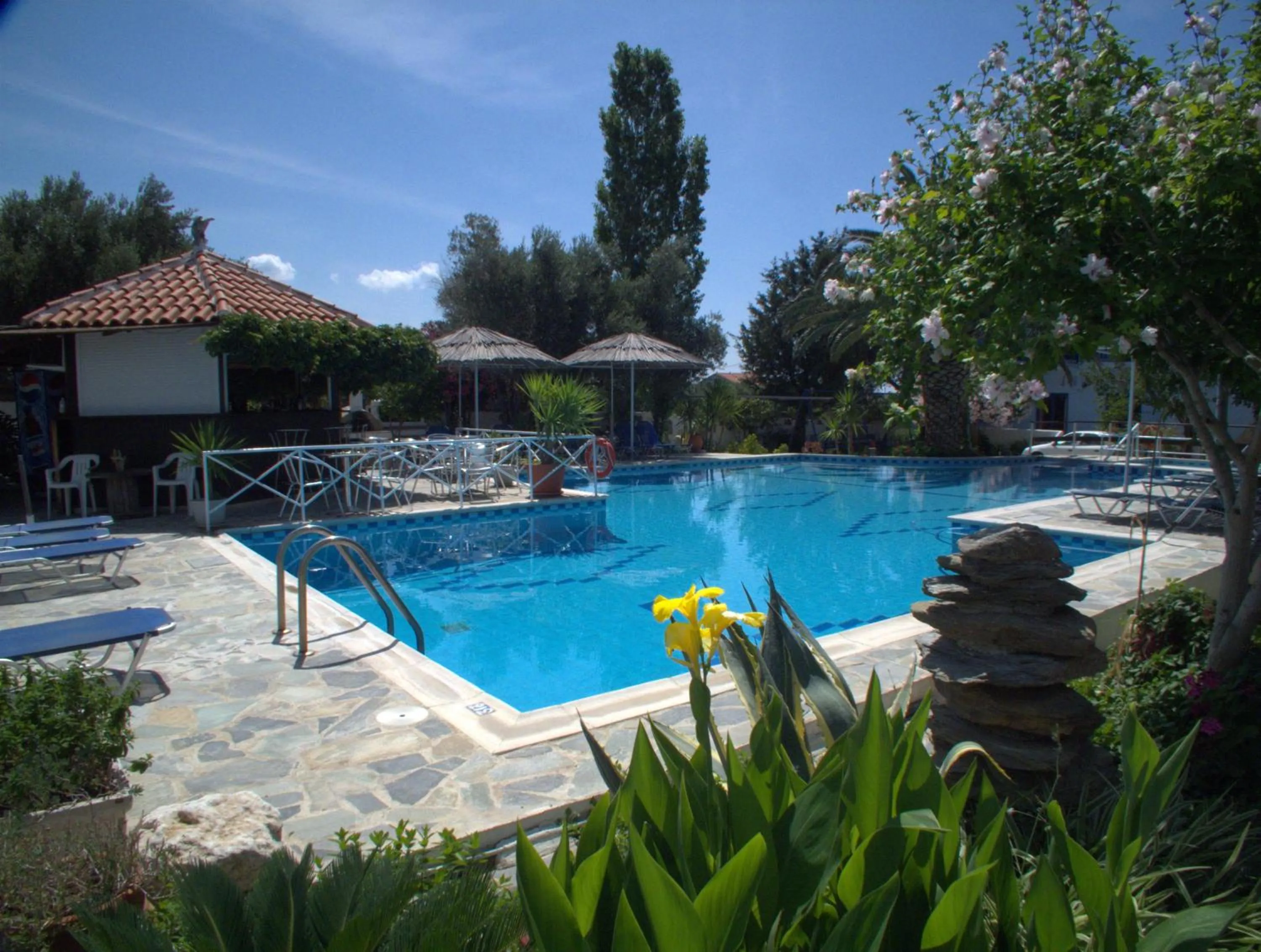 Garden in Hotel Sofia