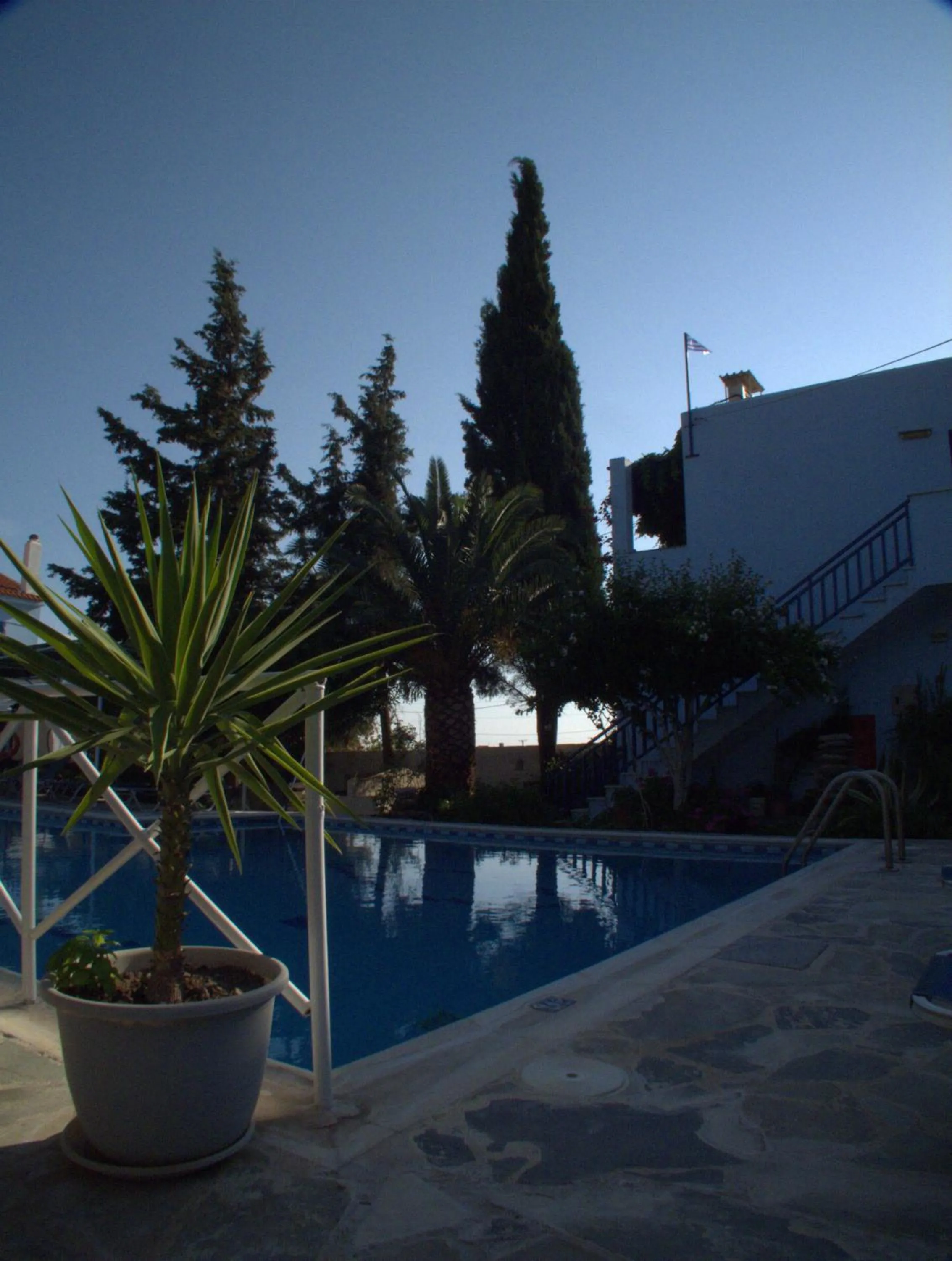 Garden in Hotel Sofia
