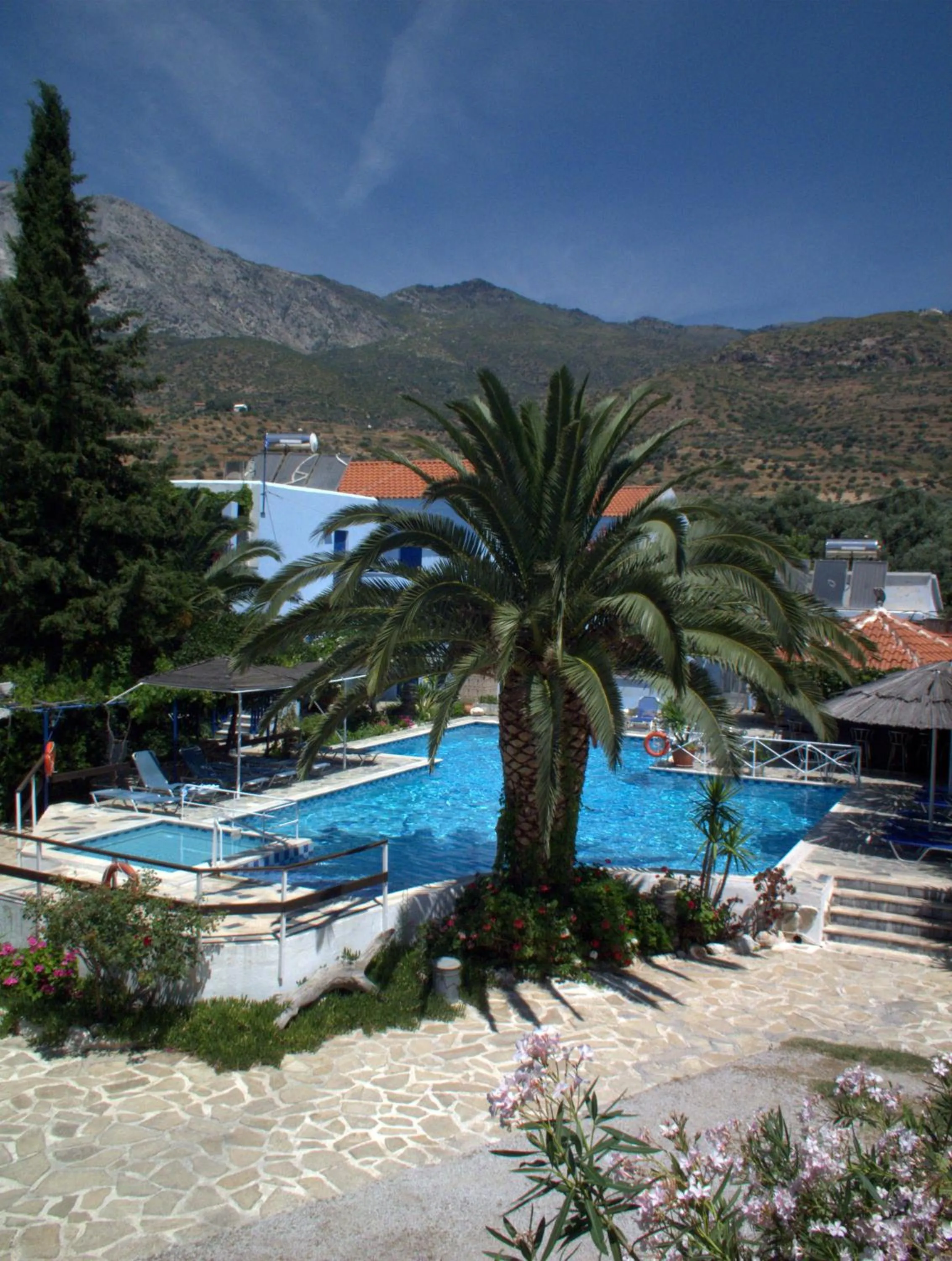 Garden in Hotel Sofia