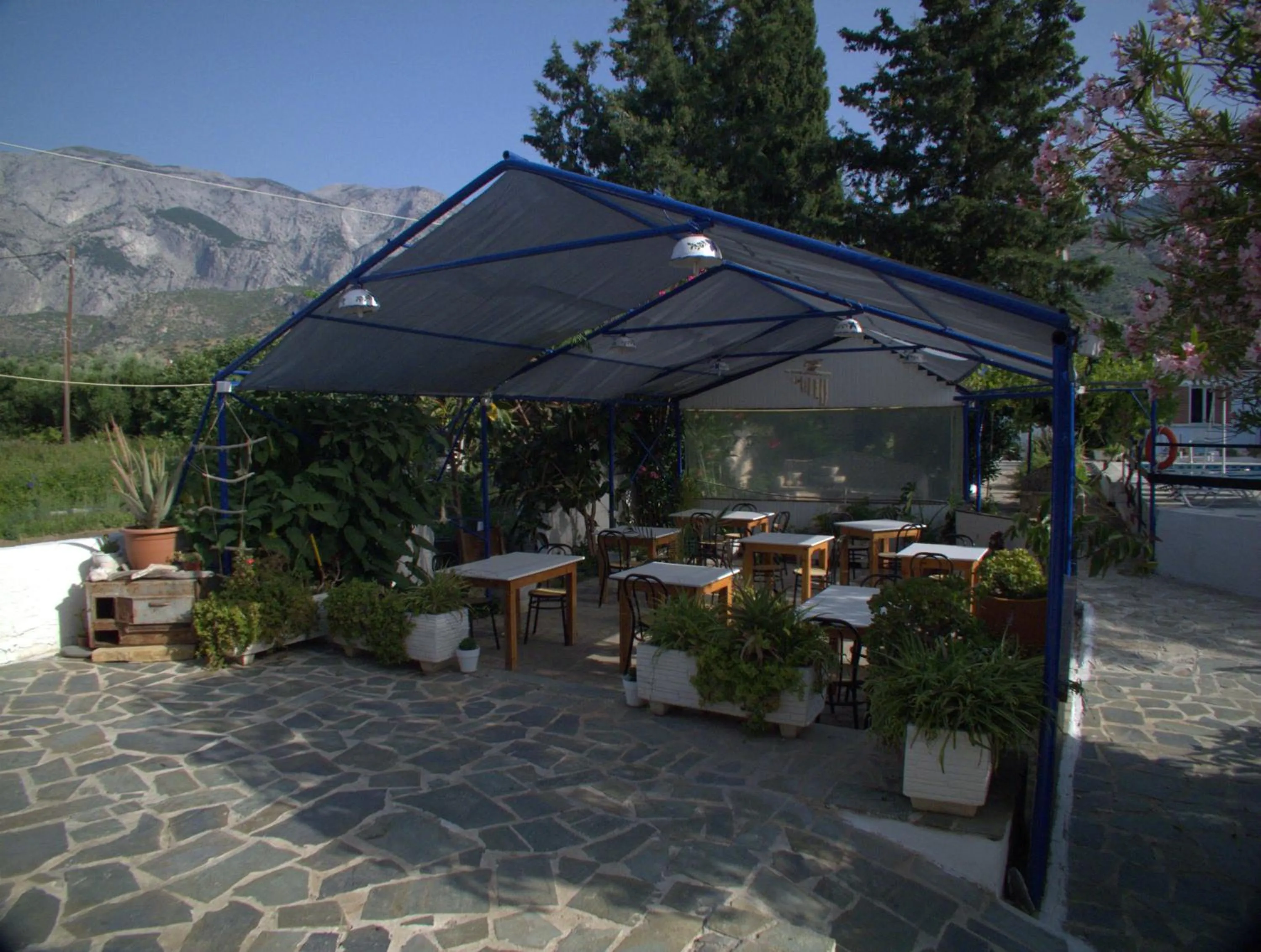 Garden in Hotel Sofia