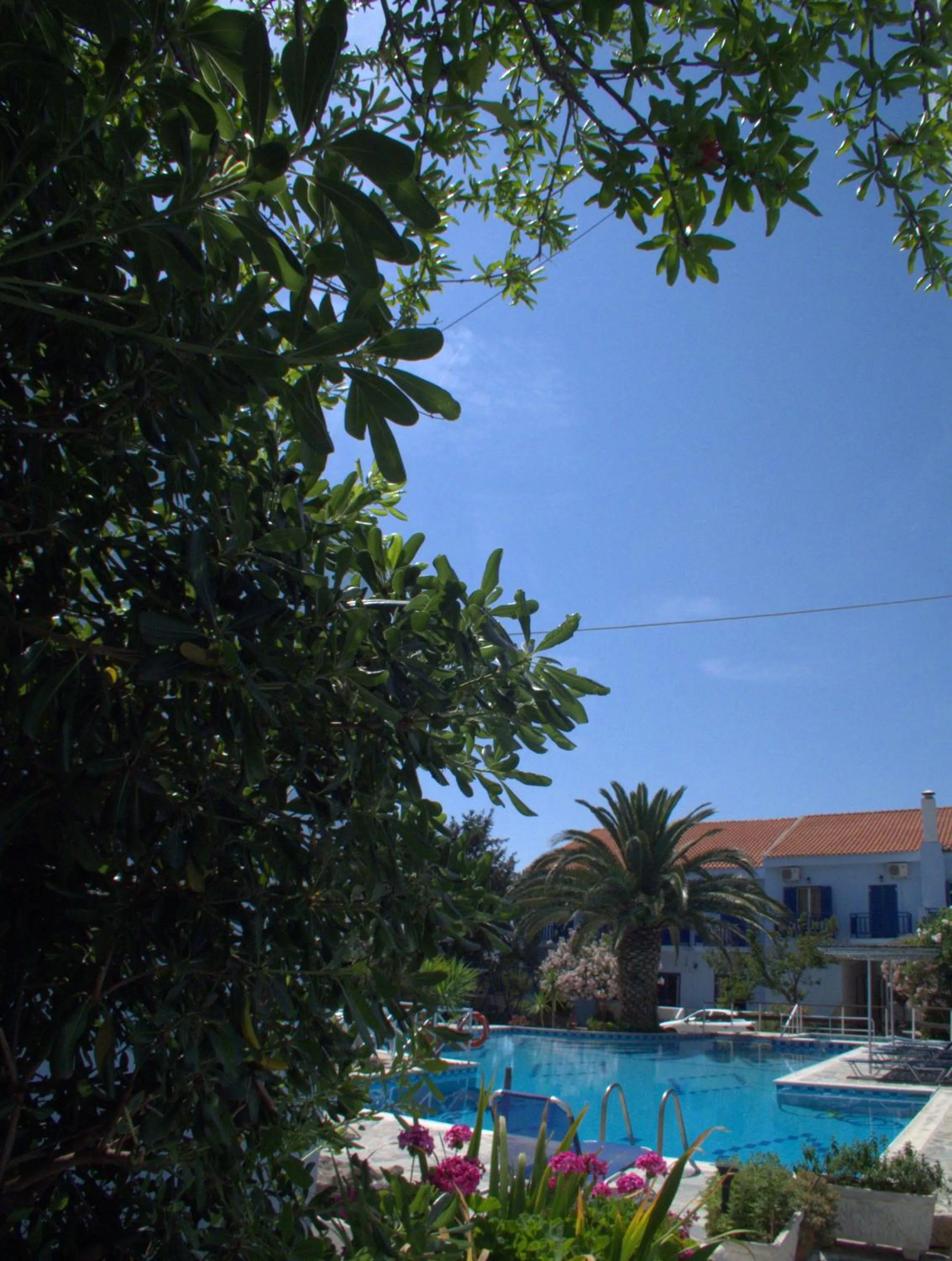 Garden in Hotel Sofia