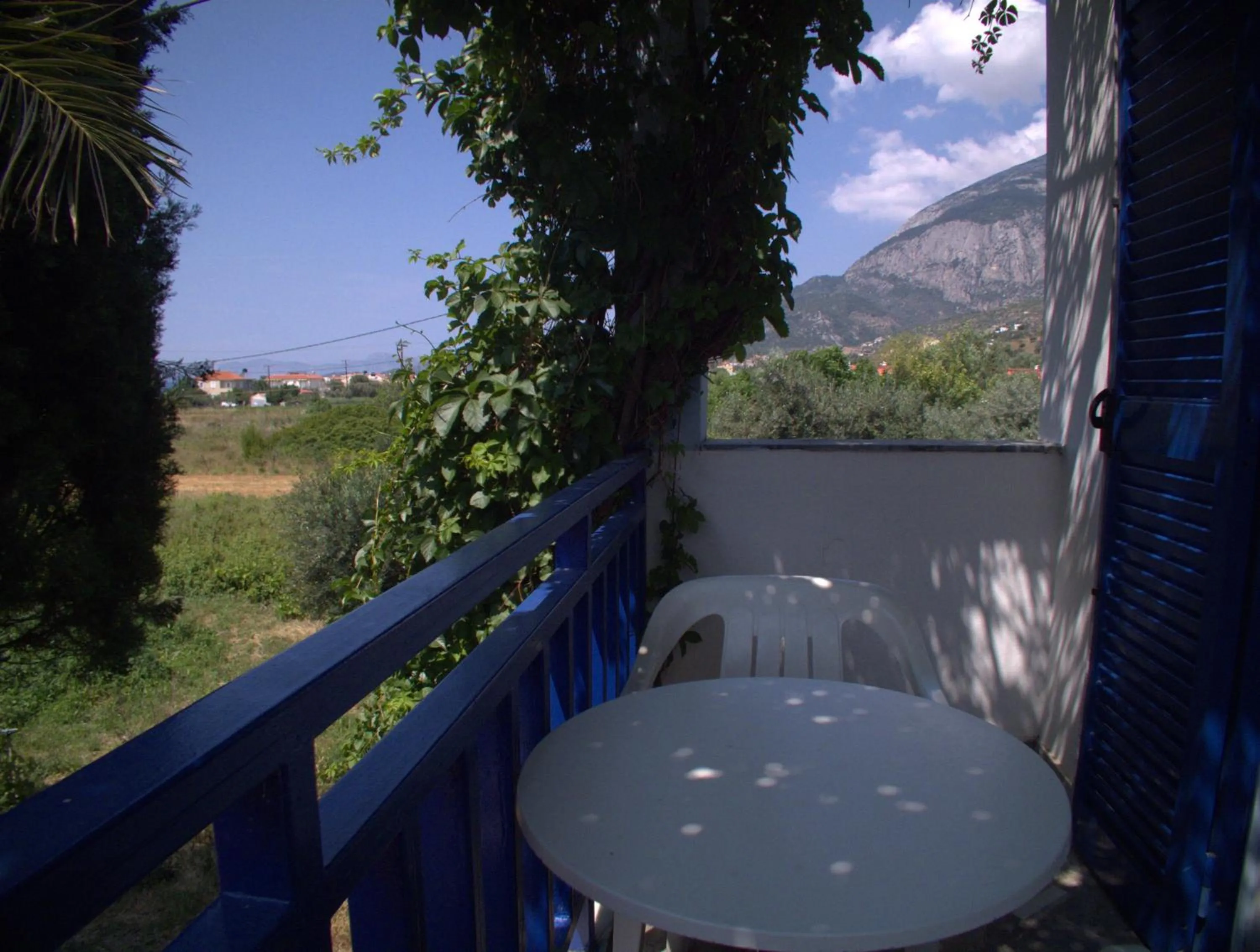 Garden view in Hotel Sofia