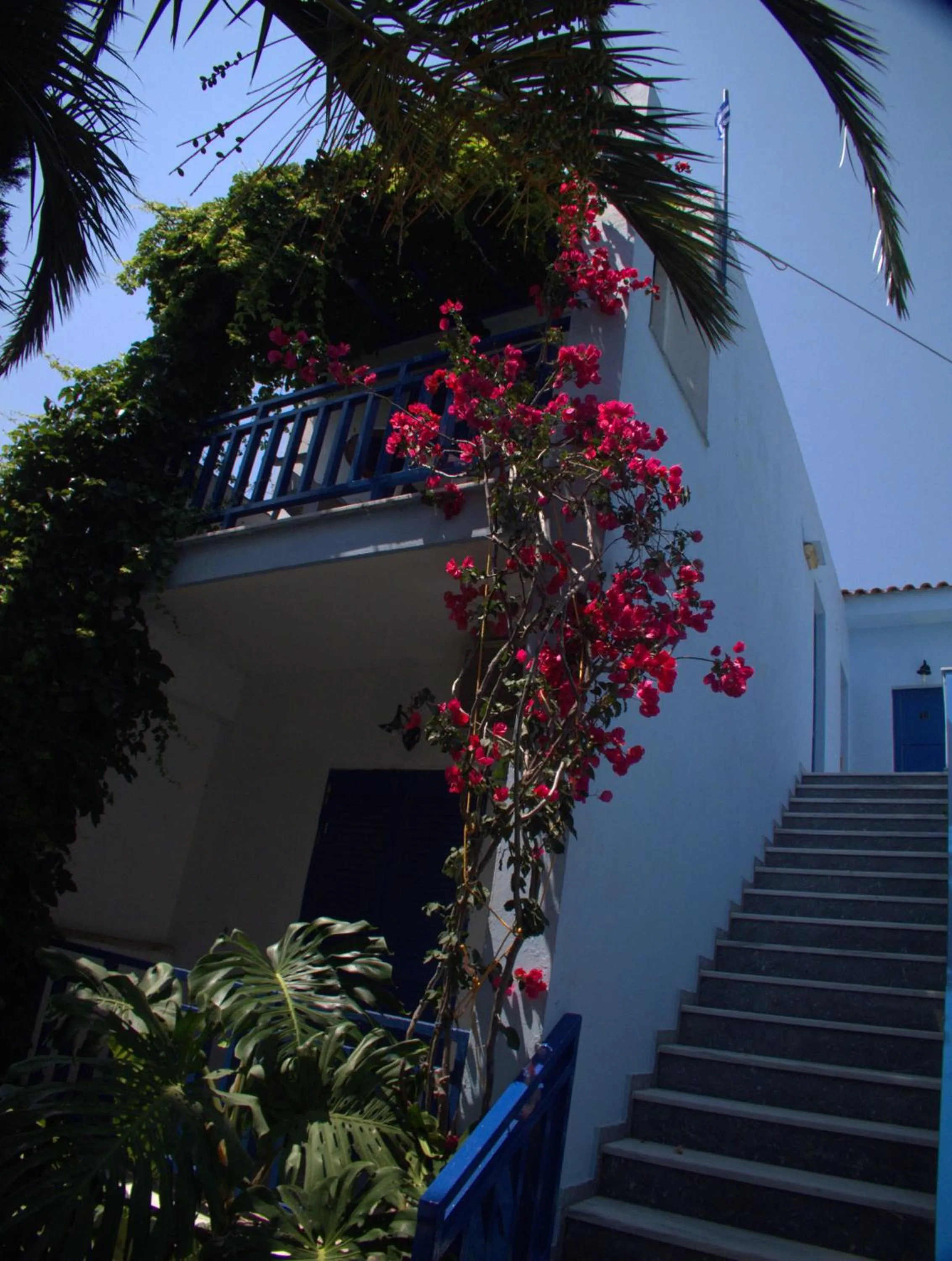 Garden view in Hotel Sofia