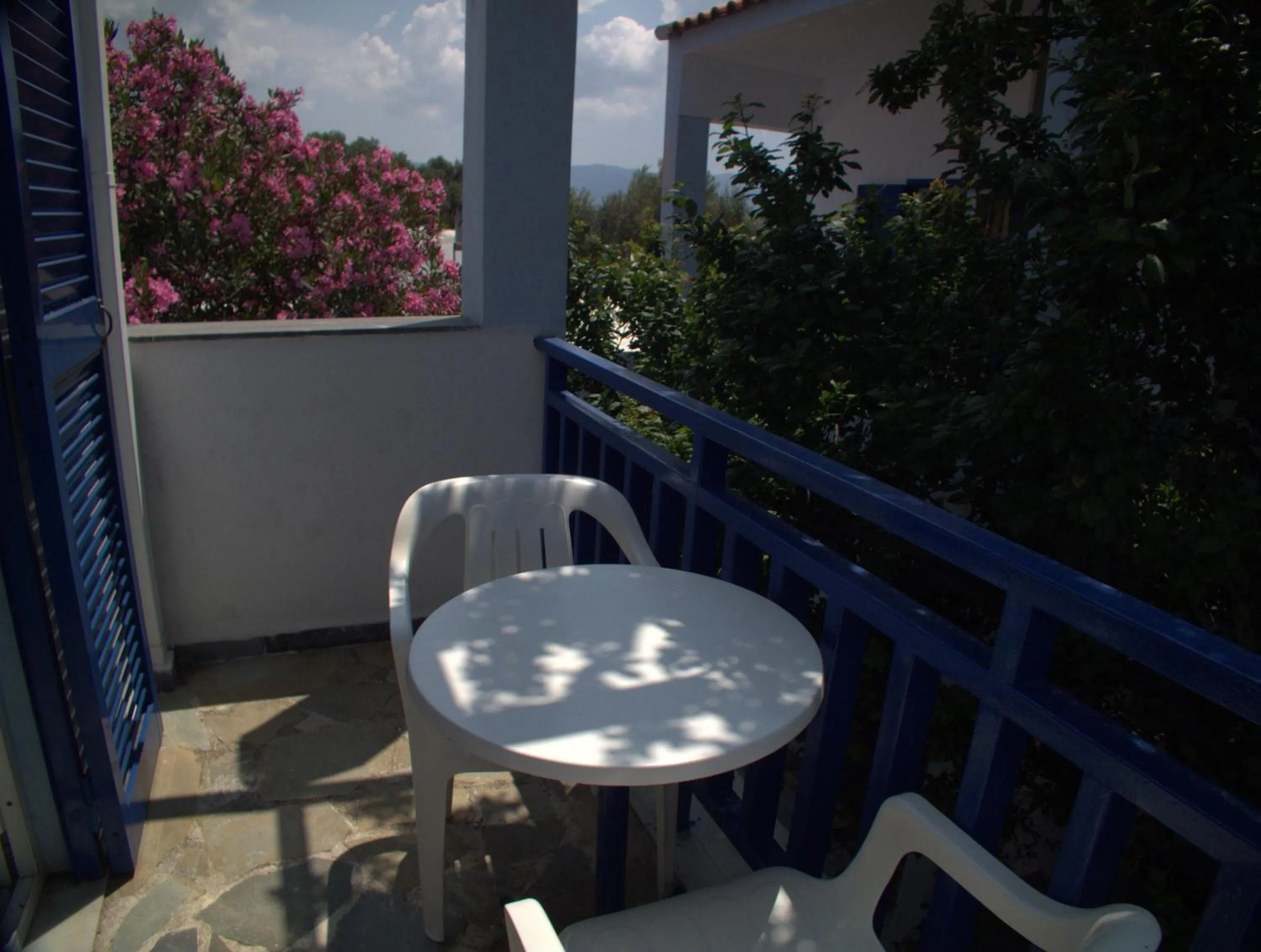 Garden view in Hotel Sofia