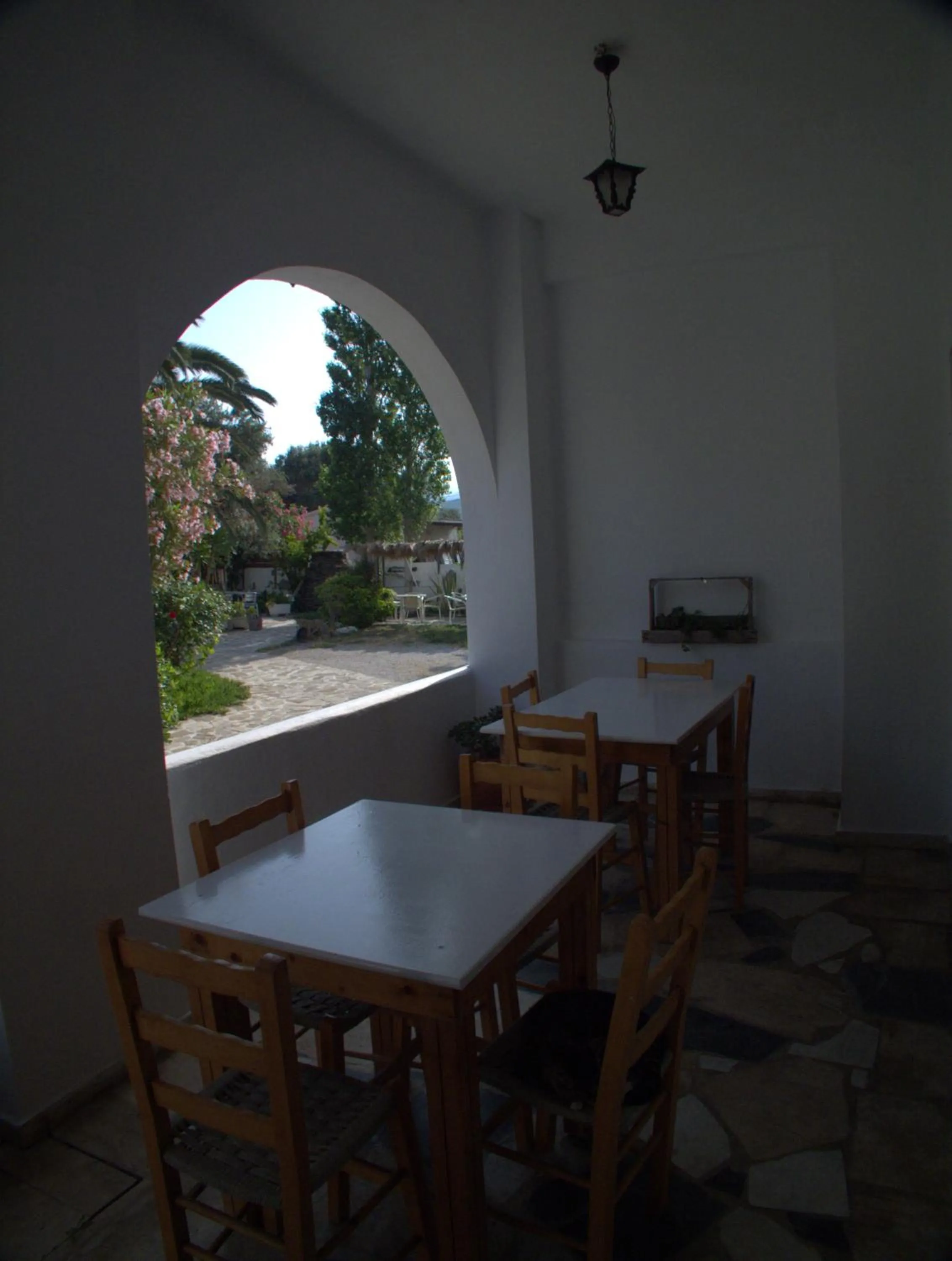 Garden view in Hotel Sofia