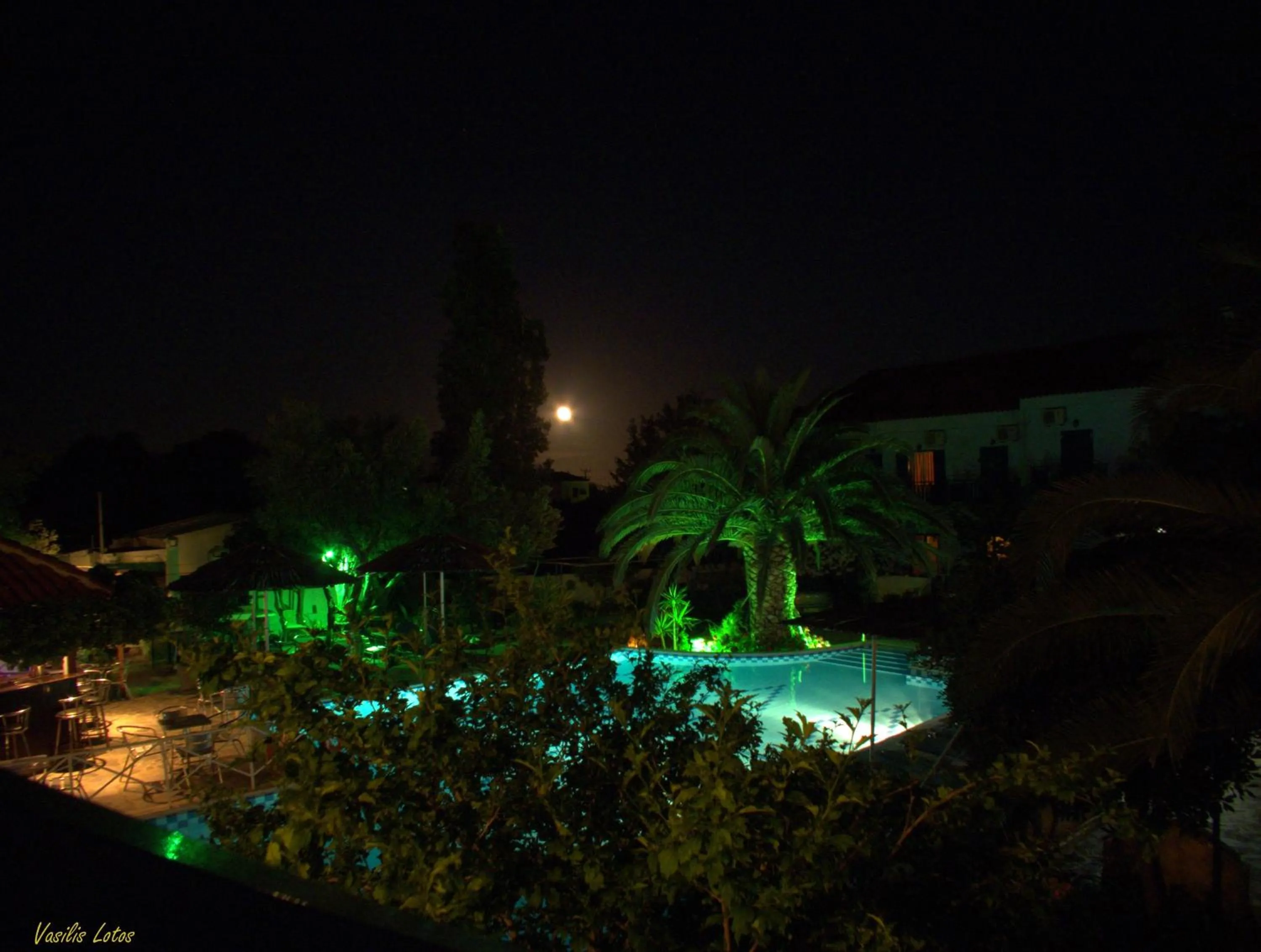 Garden in Hotel Sofia