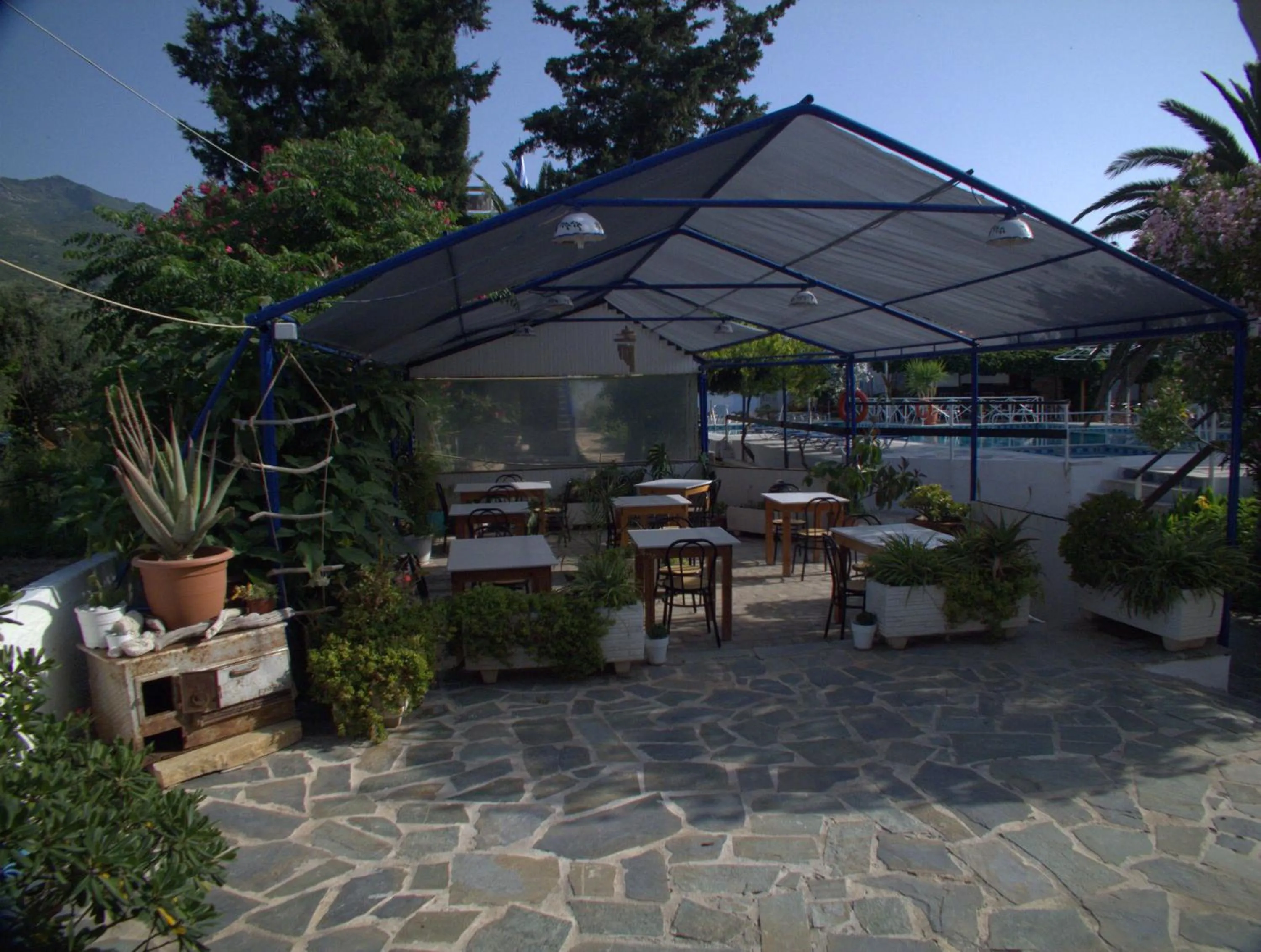 Garden in Hotel Sofia