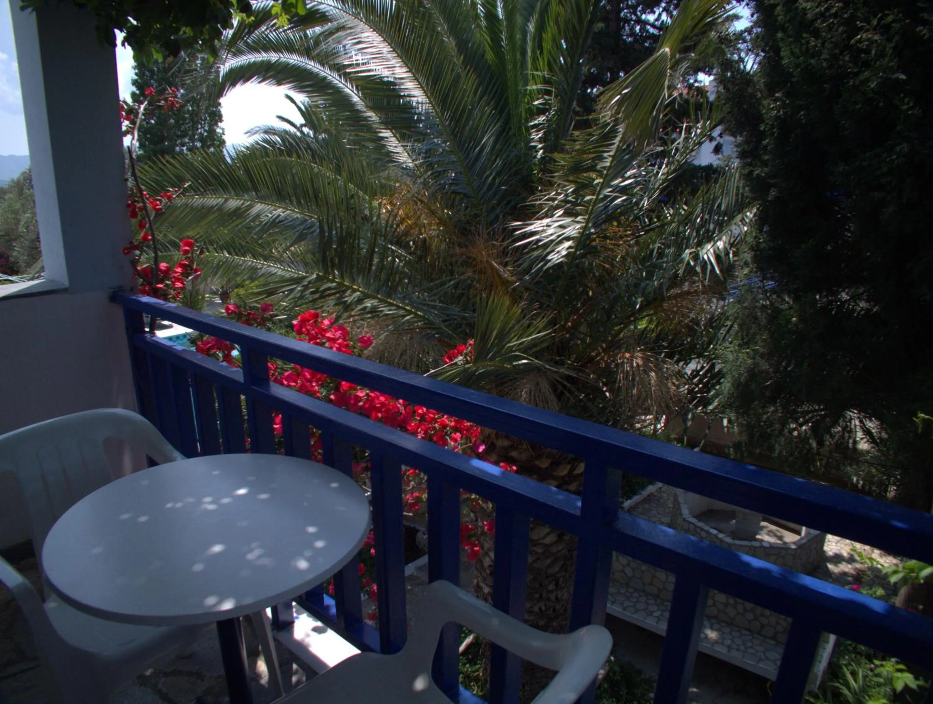 Garden view in Hotel Sofia