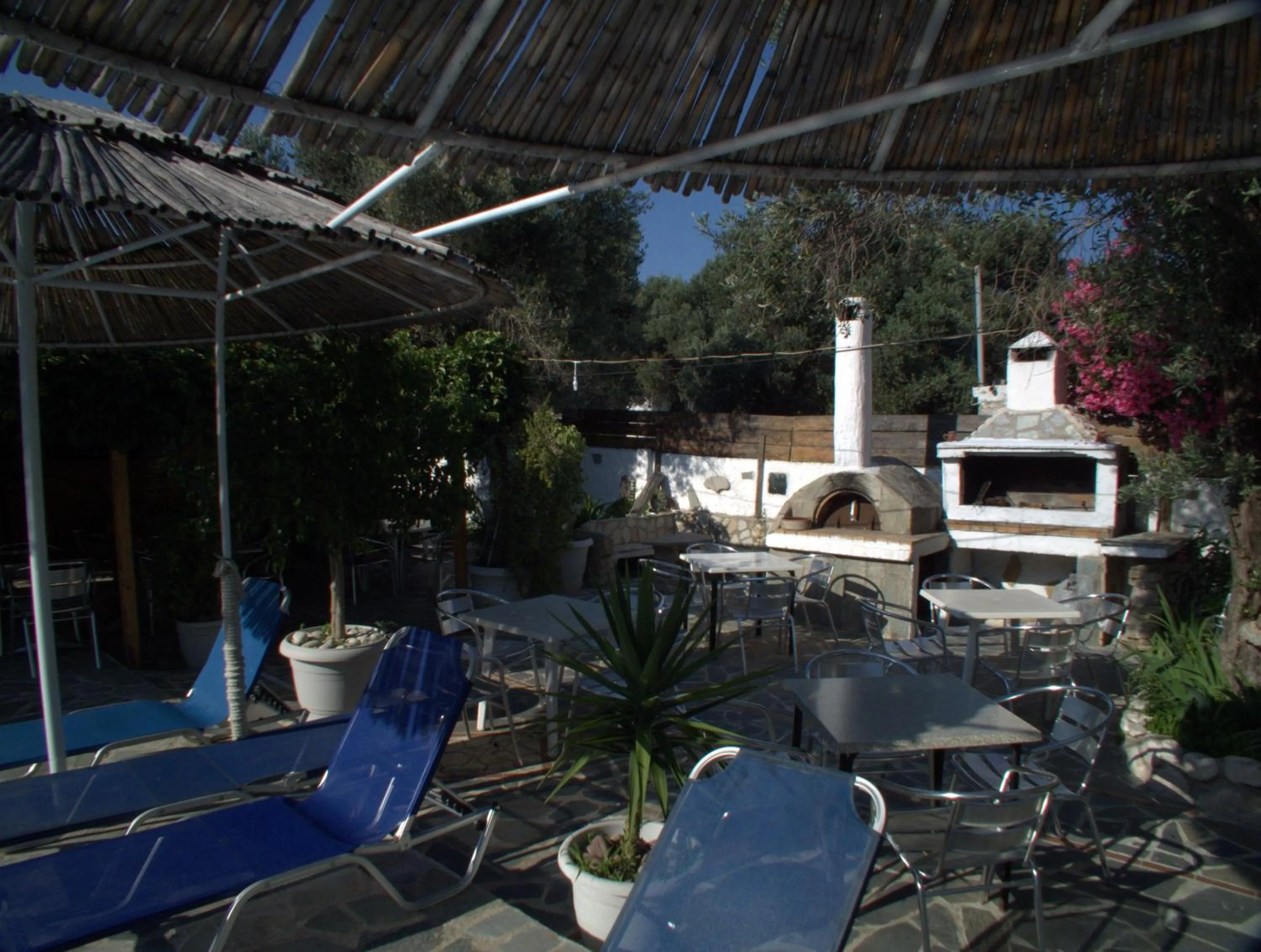 Lounge or bar in Hotel Sofia