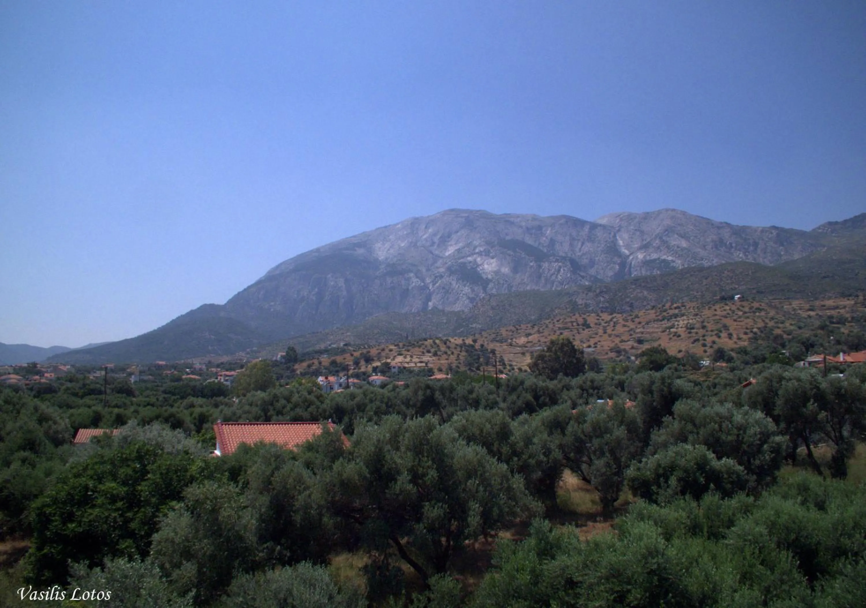 View (from property/room) in Hotel Sofia