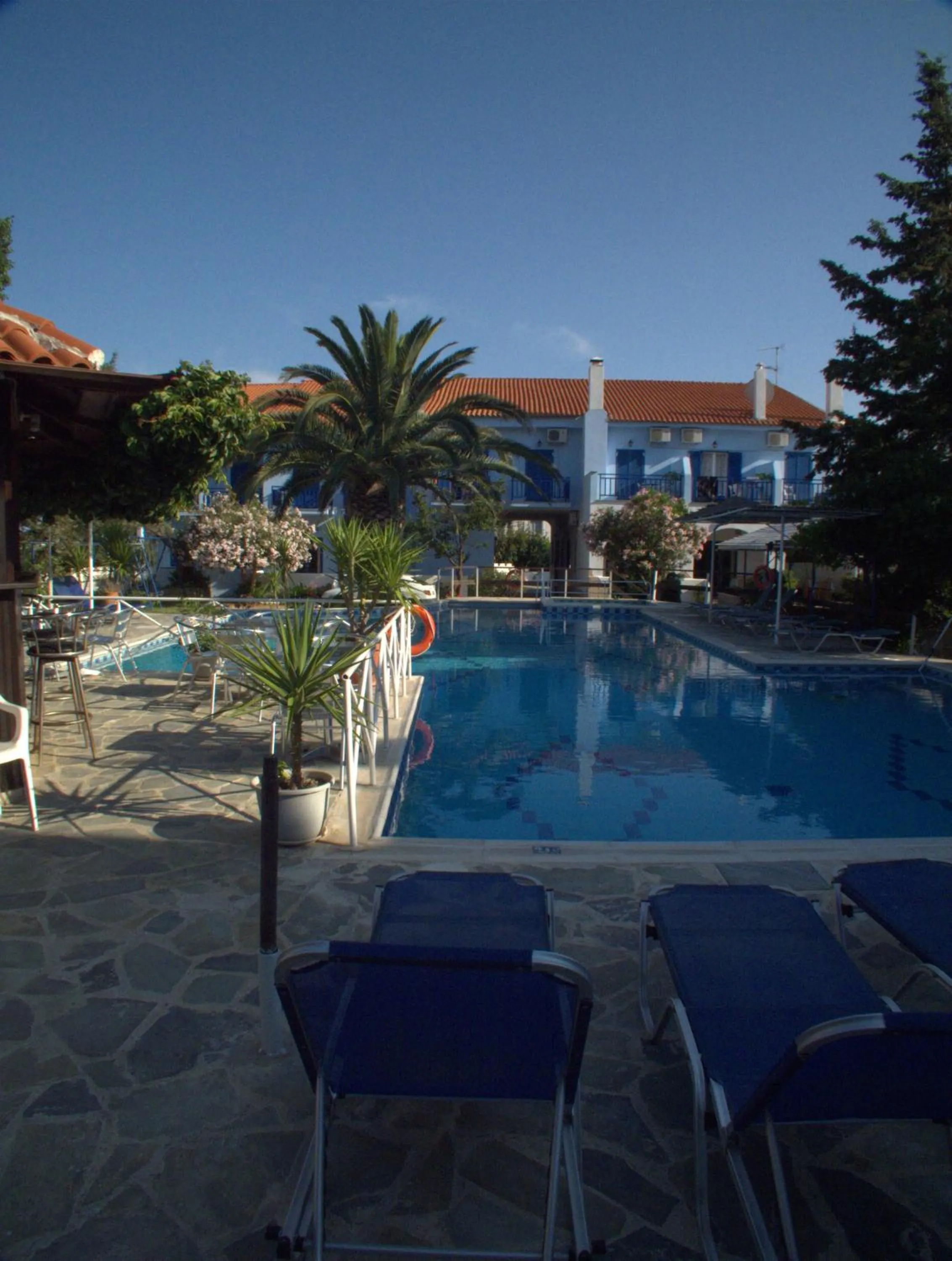 Garden in Hotel Sofia