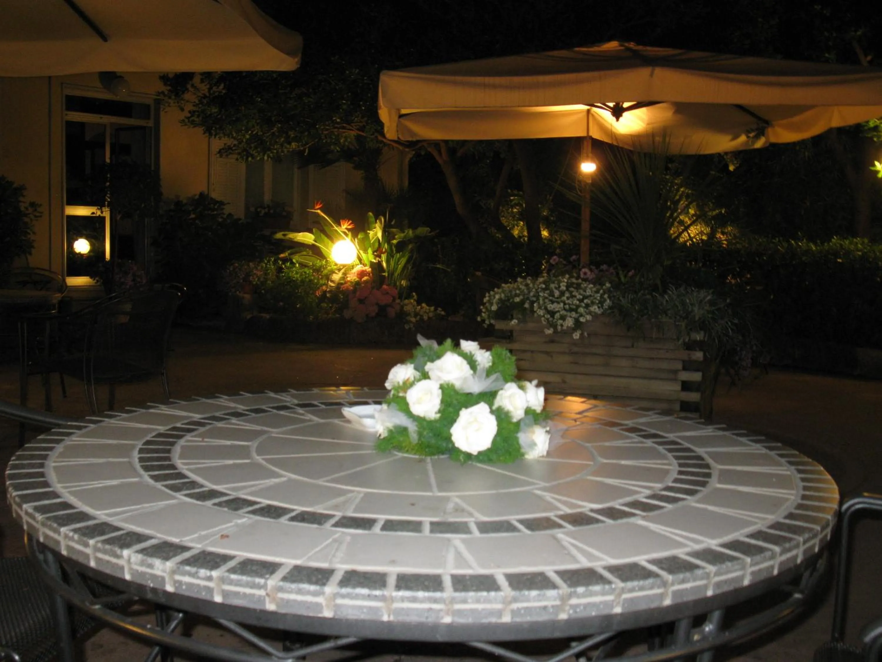 Garden in Hotel Miramare