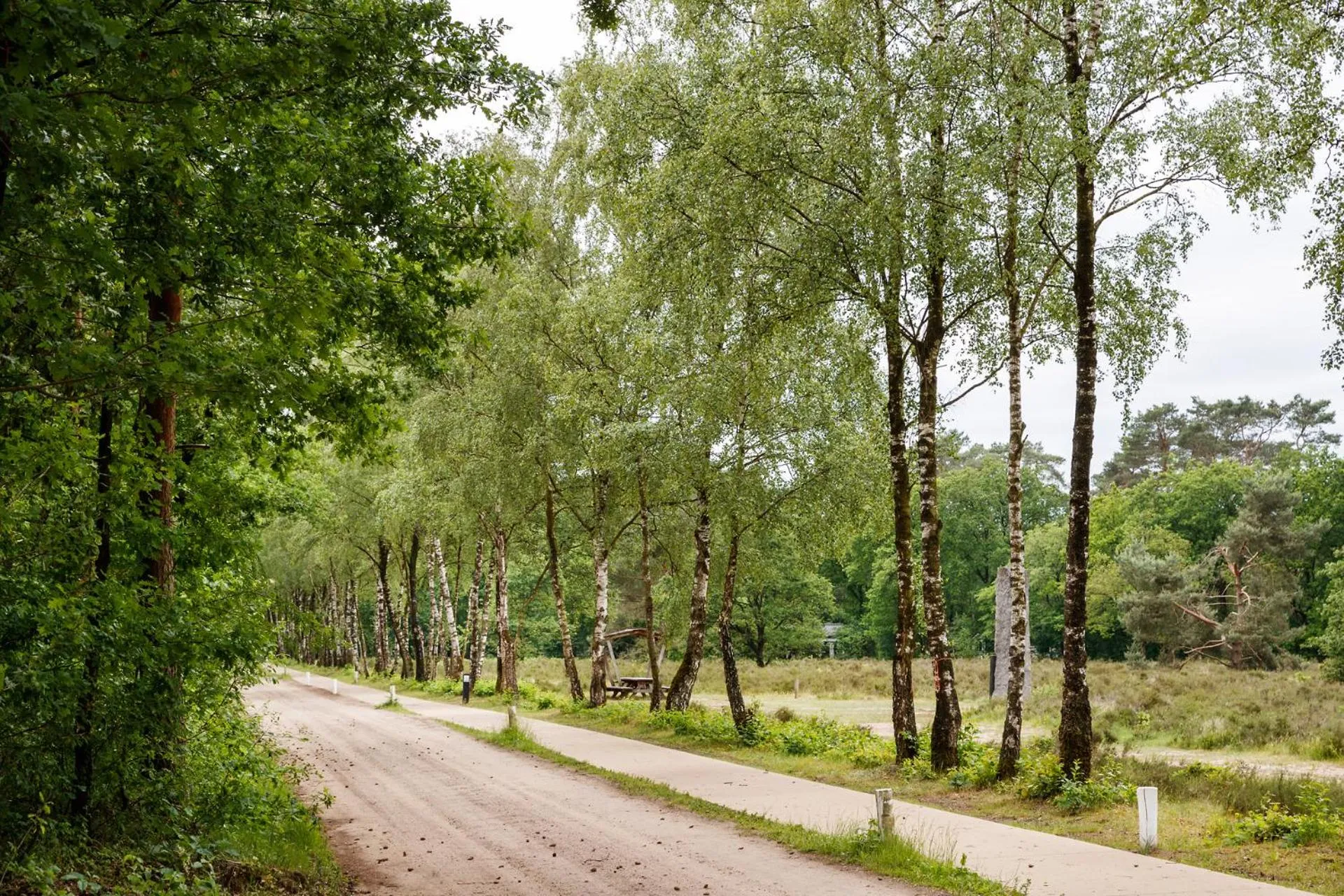 Natural landscape in Velo-Droom