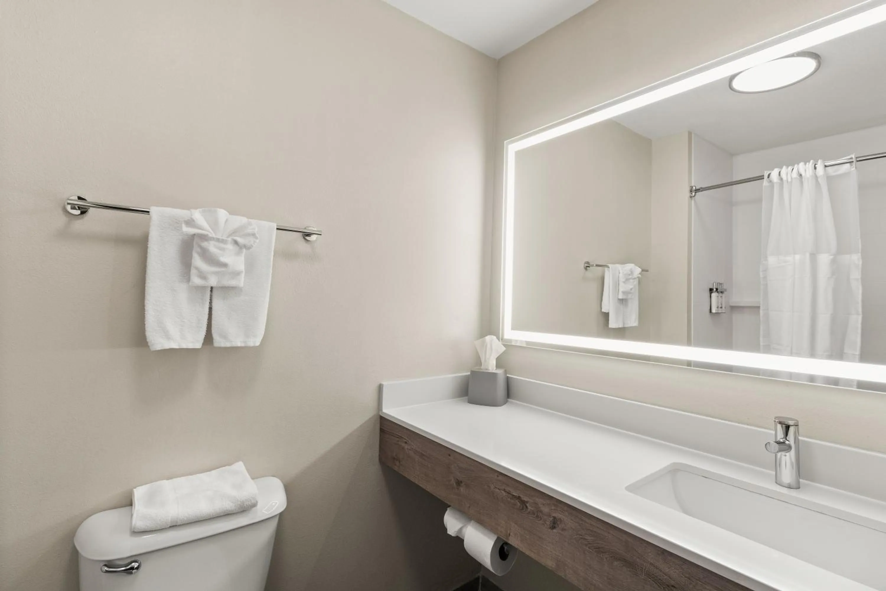 Bathroom in Holiday Inn Express & Suites Fairmont by IHG