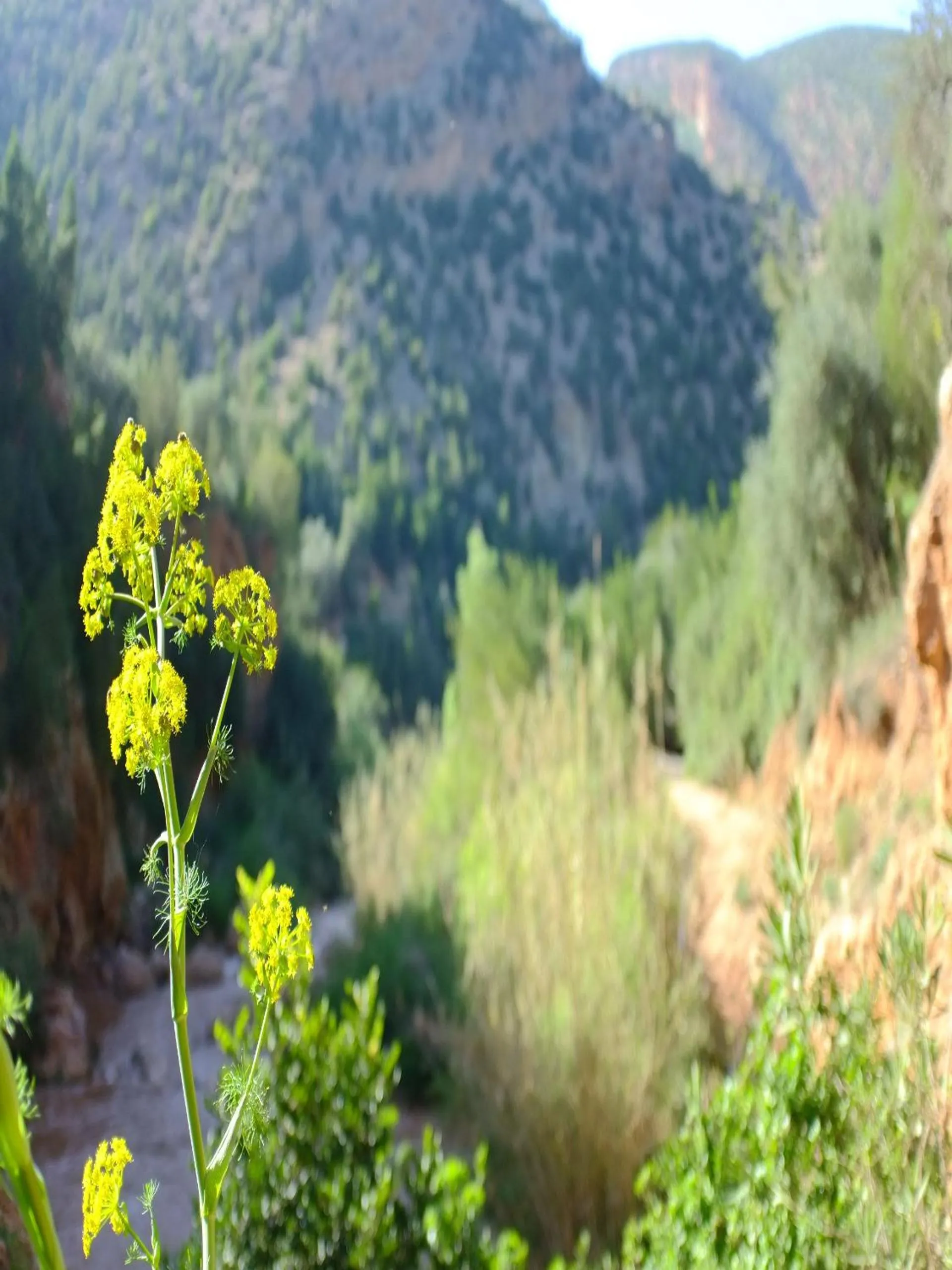 Day in Riad Cascades d'Ouzoud