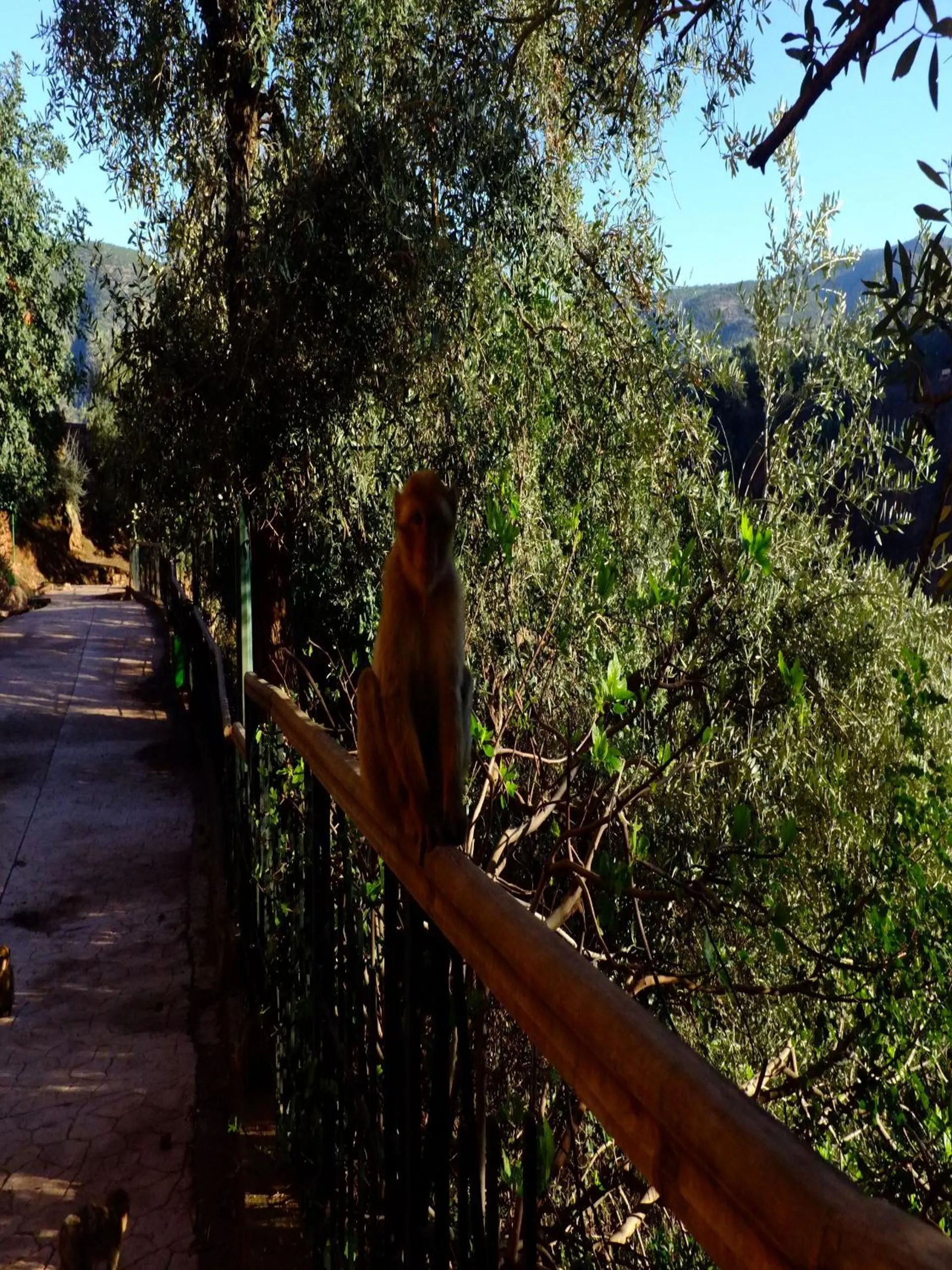 Day in Riad Cascades d'Ouzoud