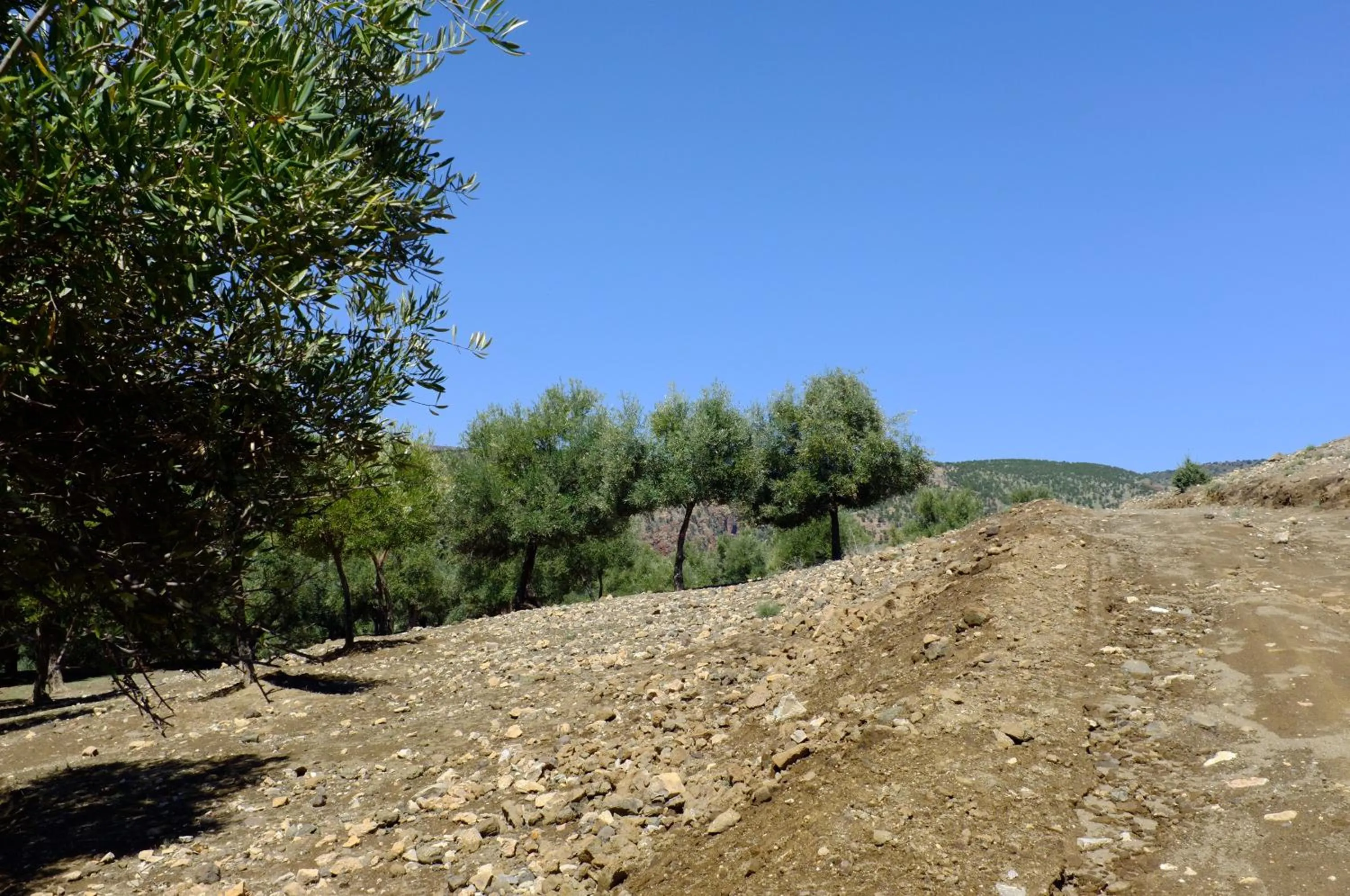 Hiking in Riad Cascades d'Ouzoud