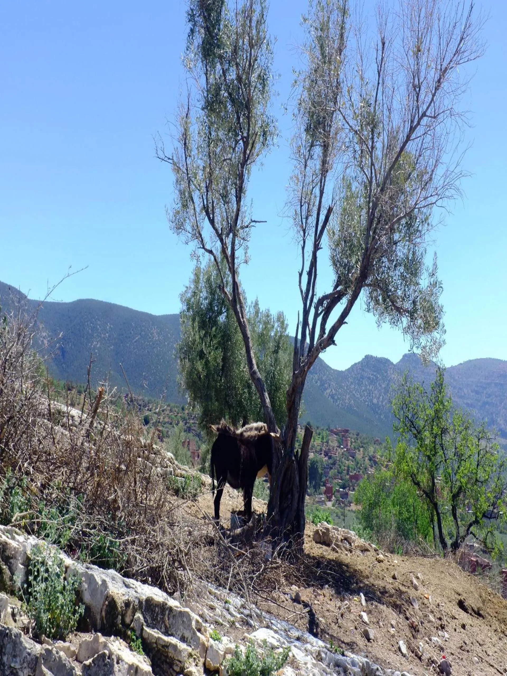 Day in Riad Cascades d'Ouzoud