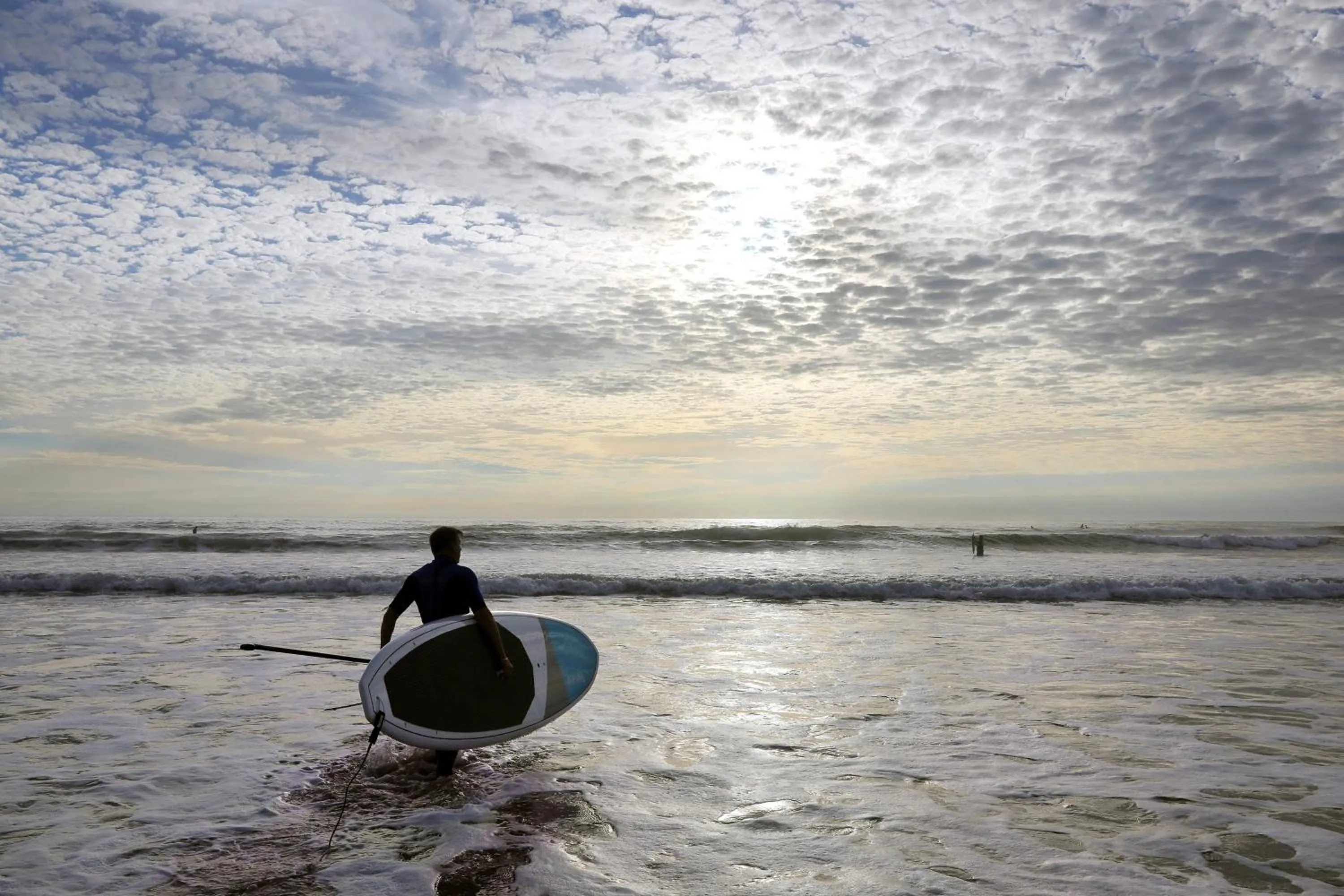 Beach in Sheraton Carlsbad Resort & Spa