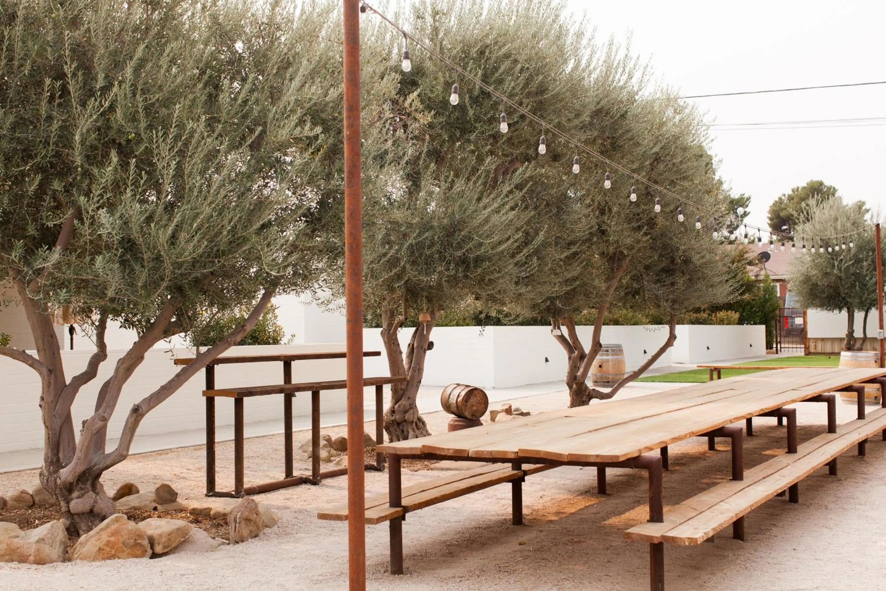 Spring in Cuyama Buckhorn