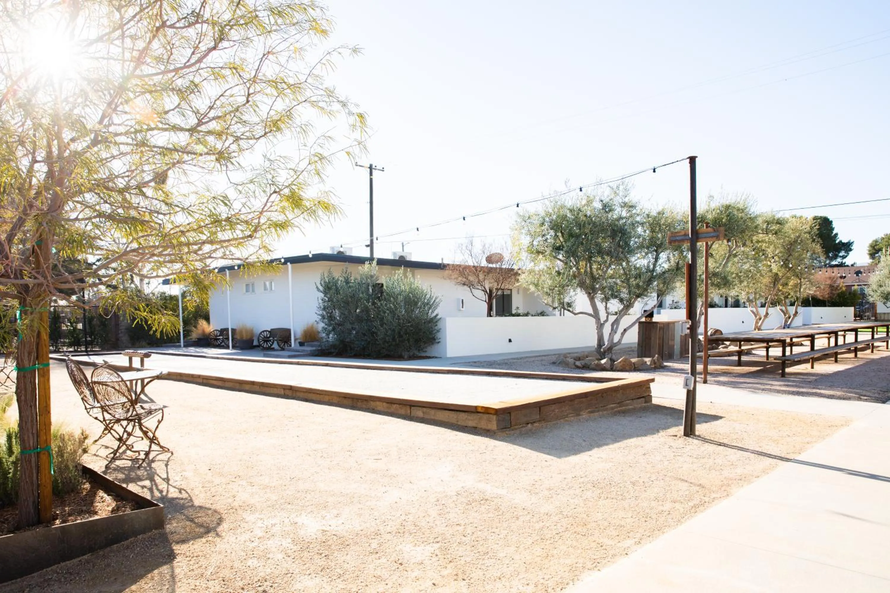 Day in Cuyama Buckhorn