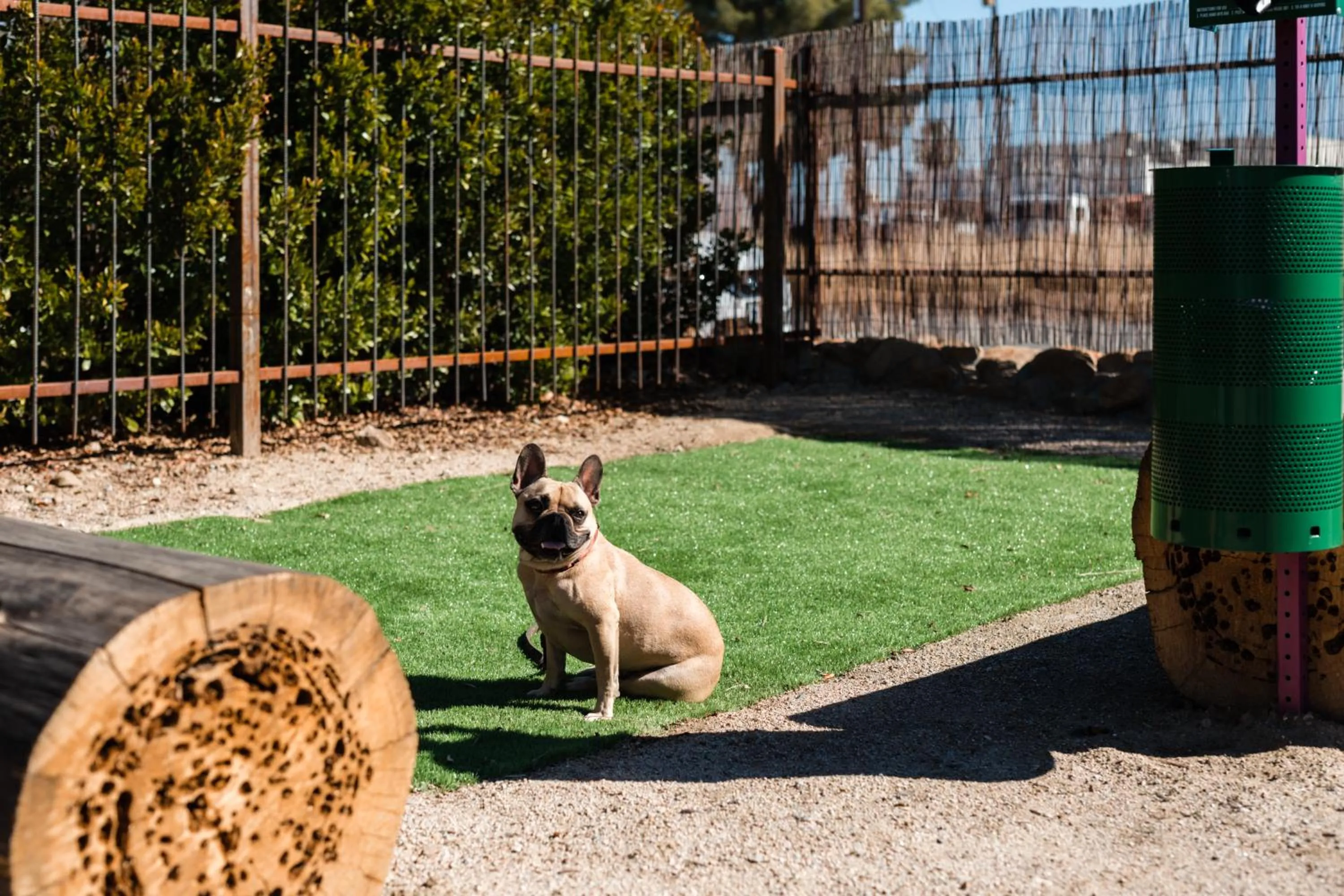 Day in Cuyama Buckhorn