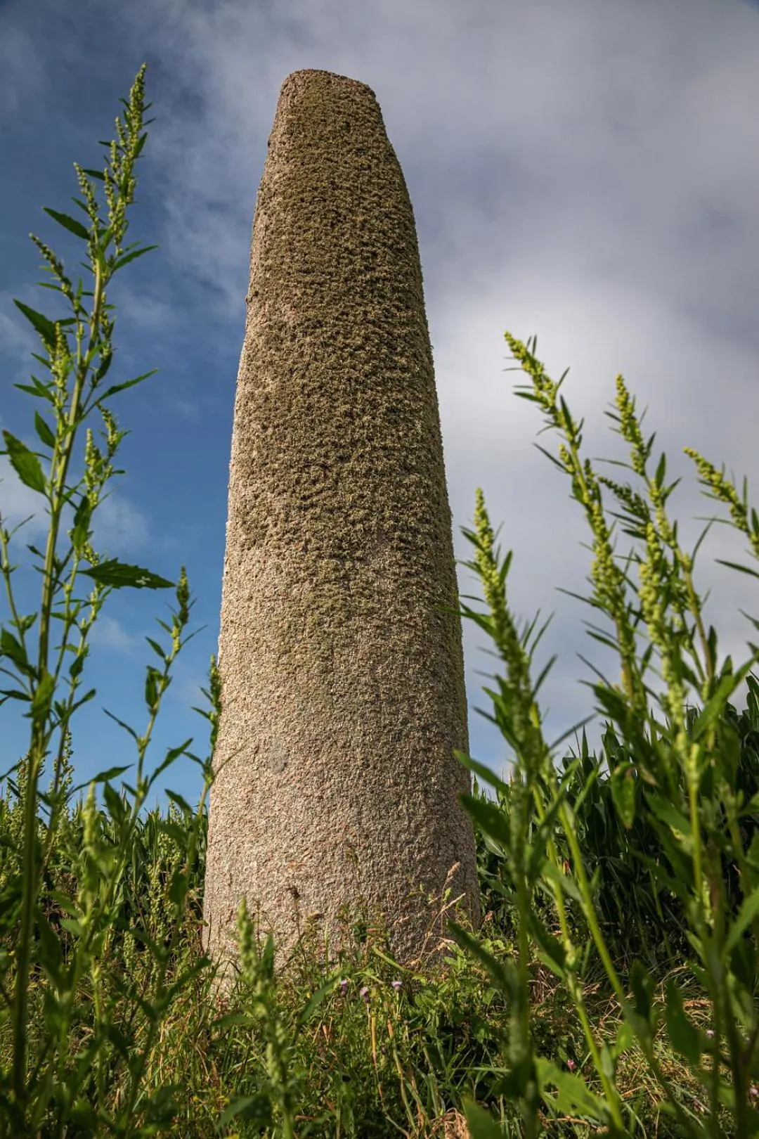 Natural landscape in Chambres d'hotes Chez Annie