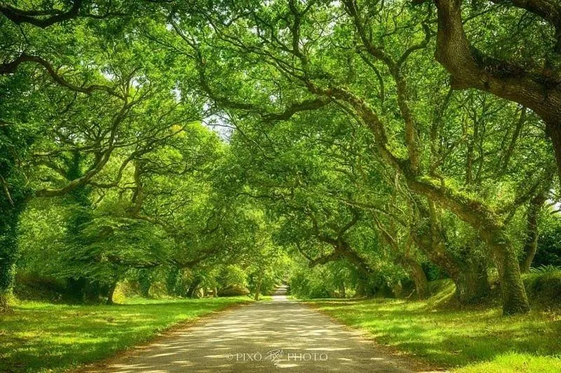 Natural landscape in Chambres d'hotes Chez Annie