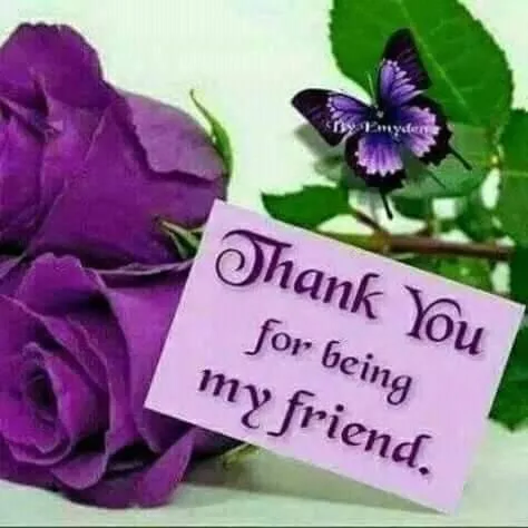 Rena Akasha Establishments