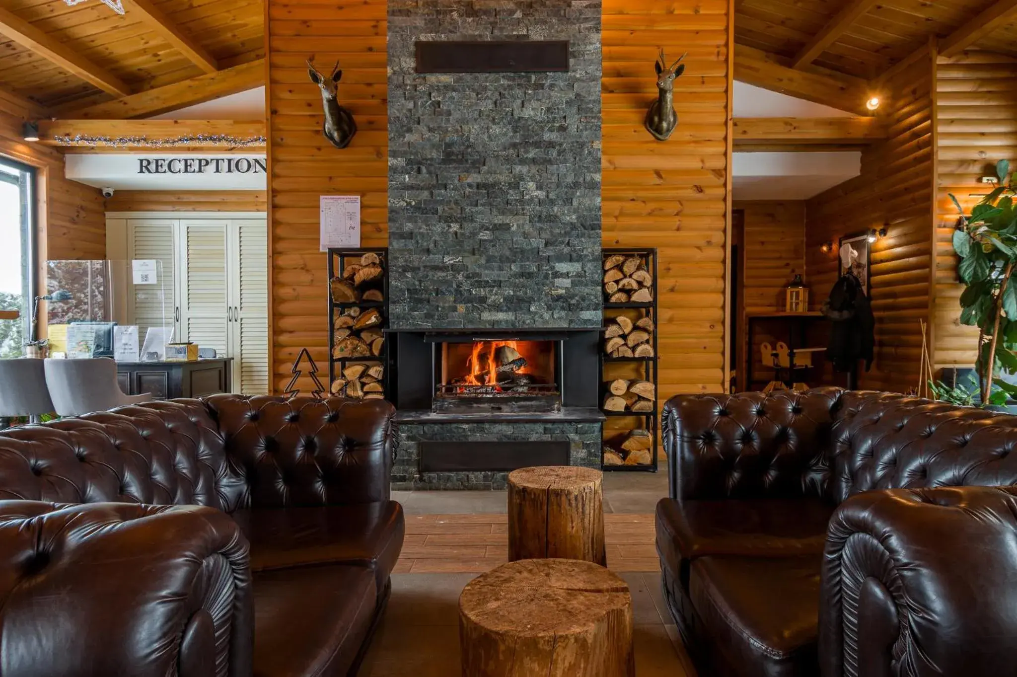 Living room in Cornelia Deluxe Residence Living room in Cornelia Deluxe Residence