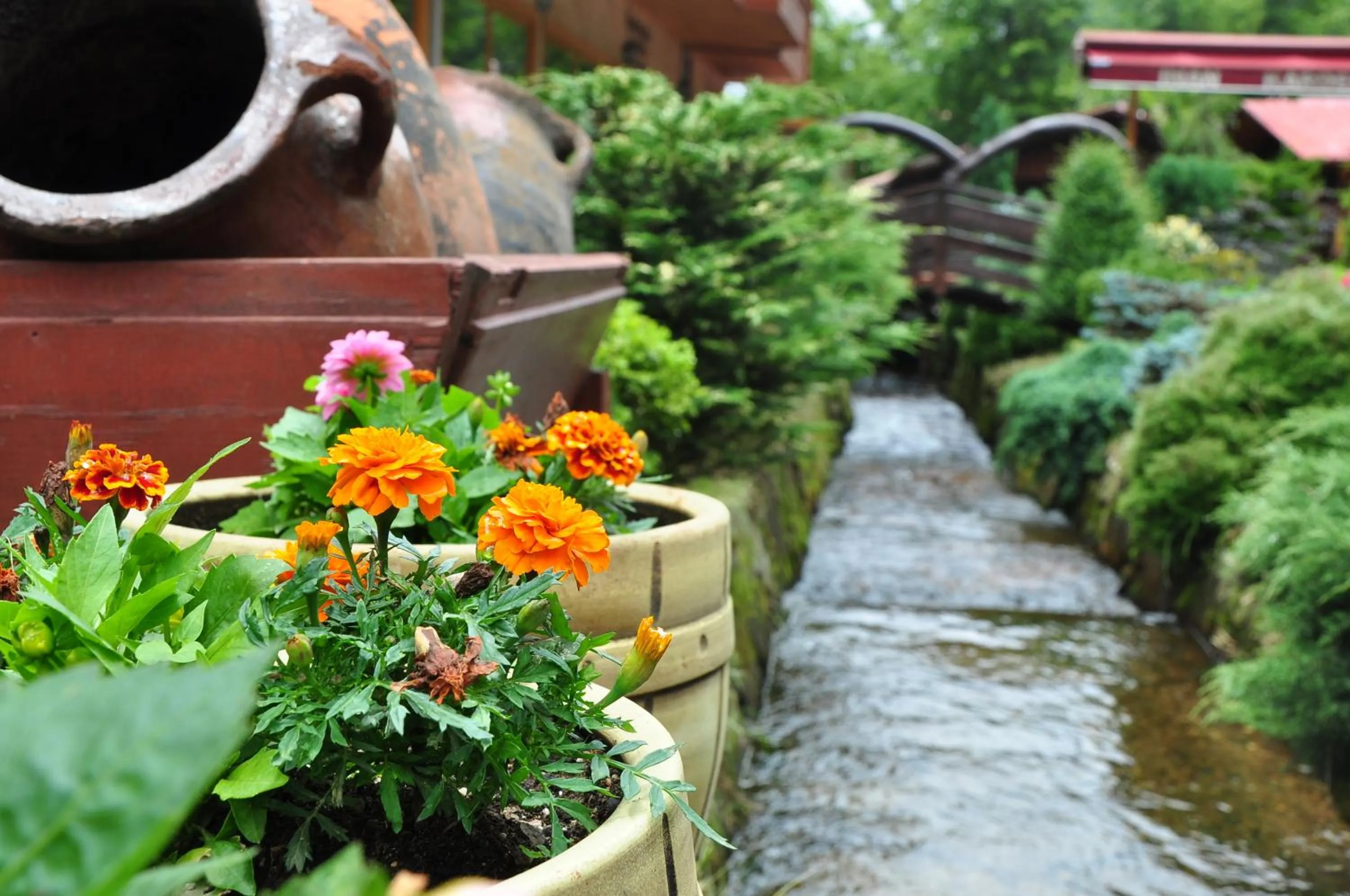 Garden view in Inan Kardesler Hotel