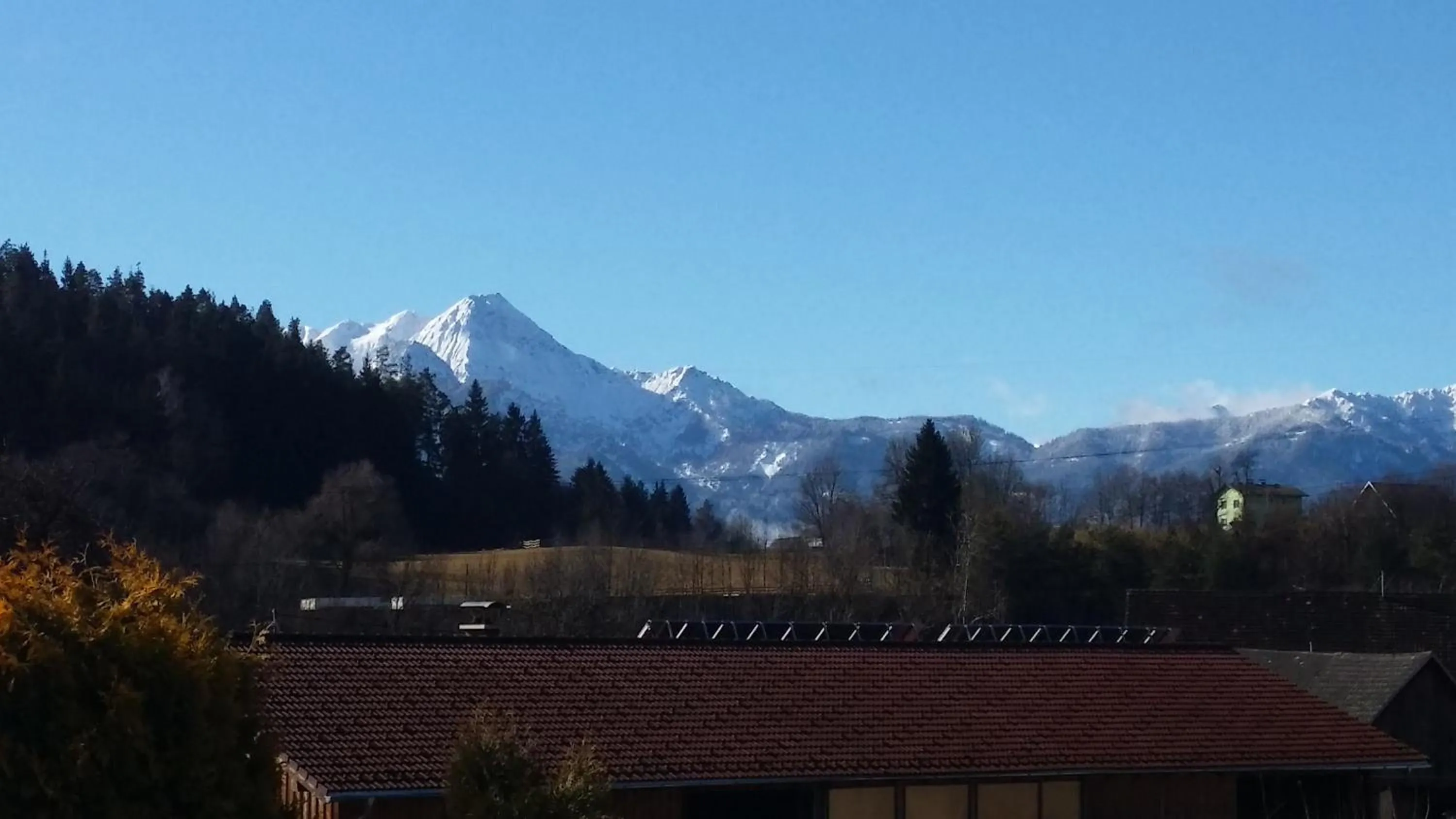 View (from property/room) in Ferienwohnungen Oranhof