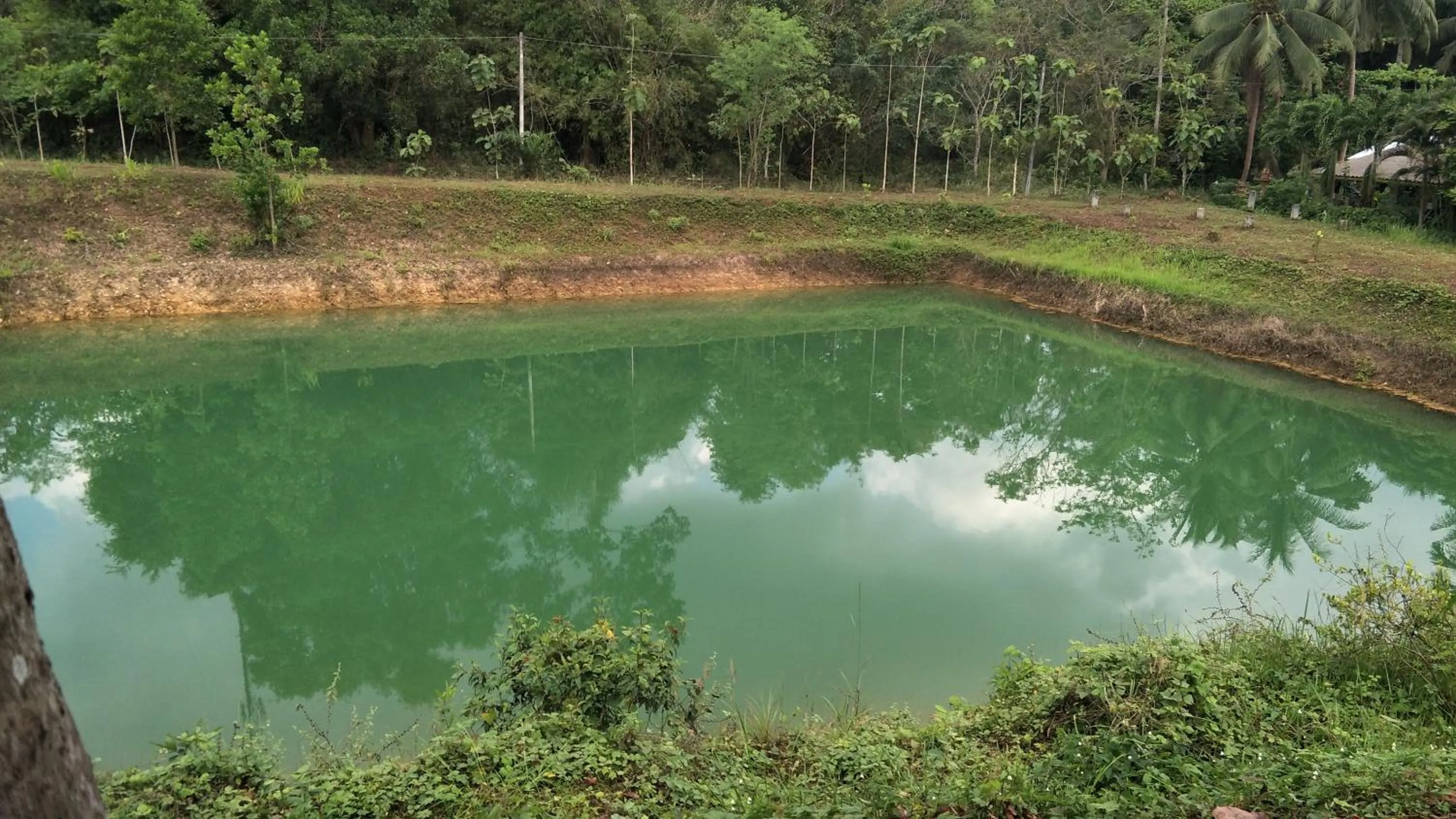 Garden in Tong Chang Resort
