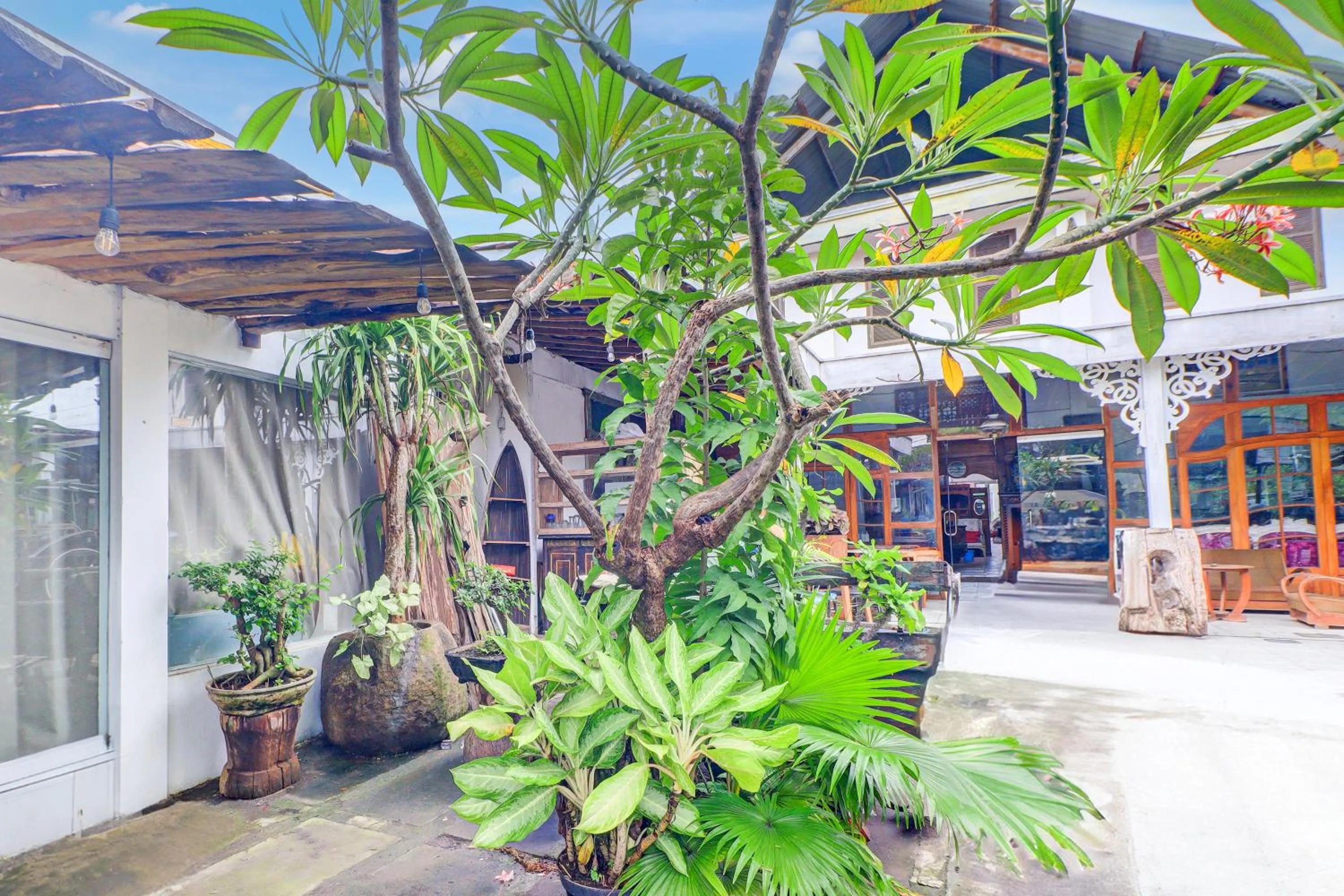 Area and facilities in Collection O Sanur Near Bali Exotic Marine Park