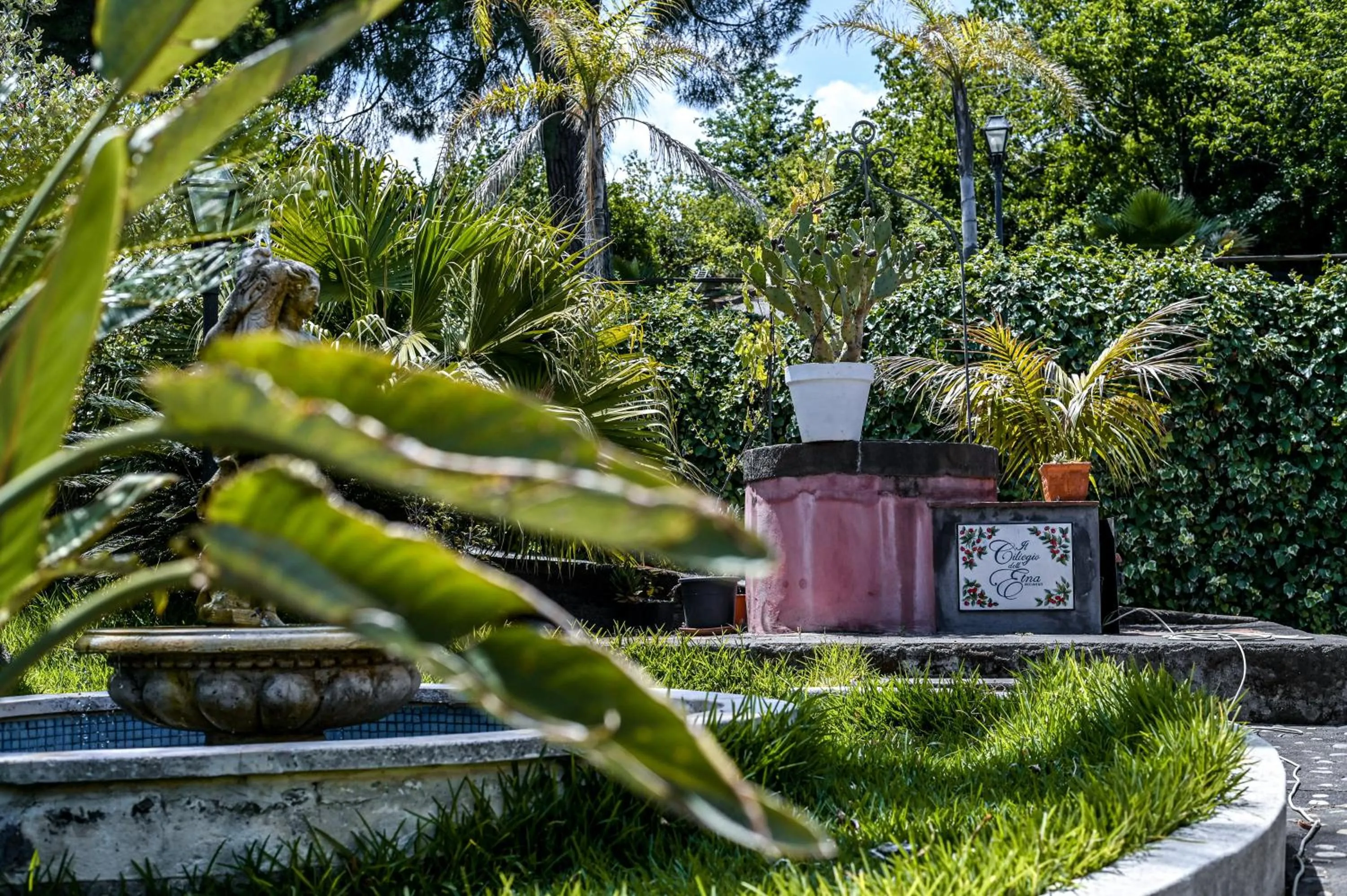 Garden view in IL Ciliegio Dell 'Etna