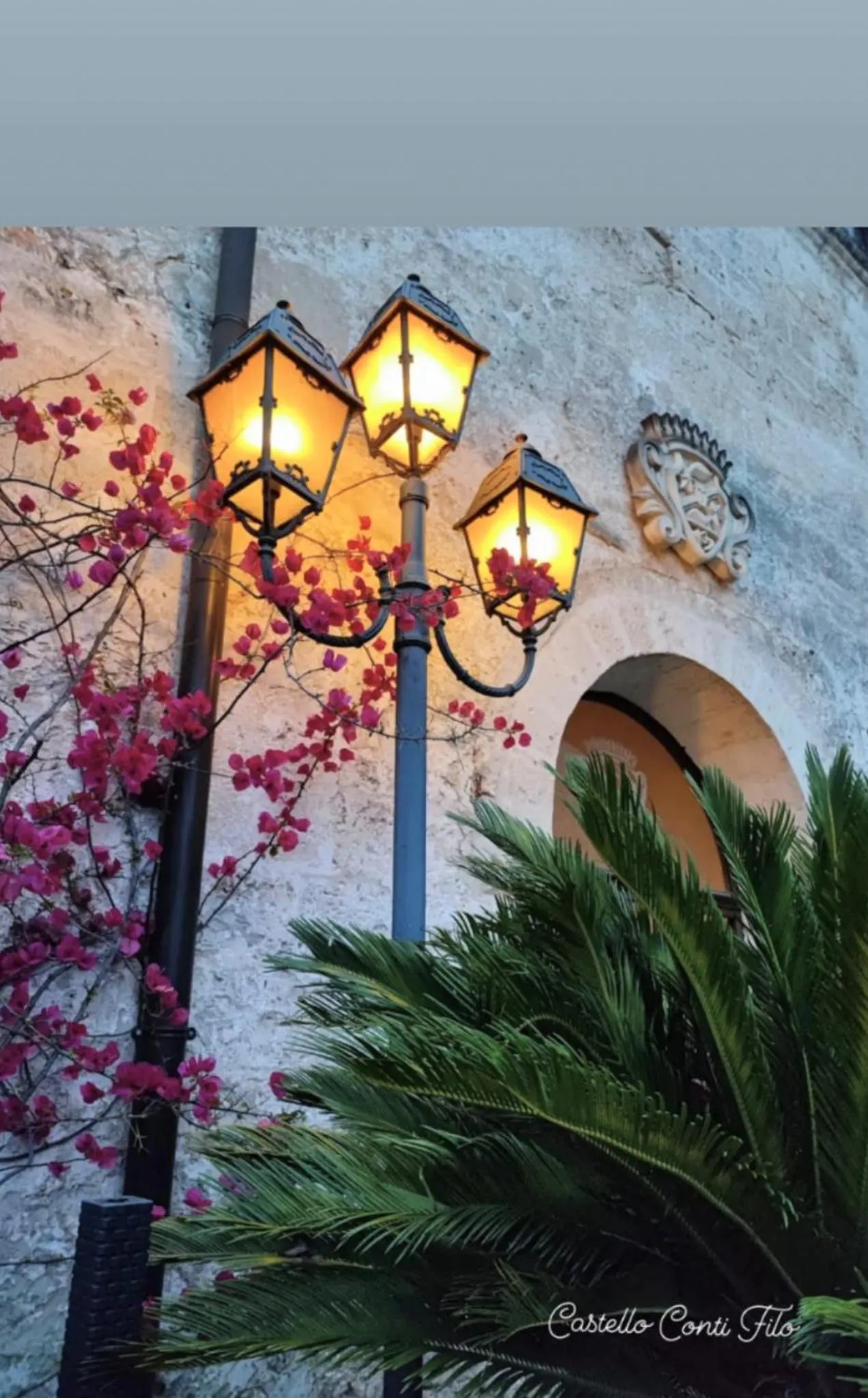 Decorative detail in Castello Conti Filo